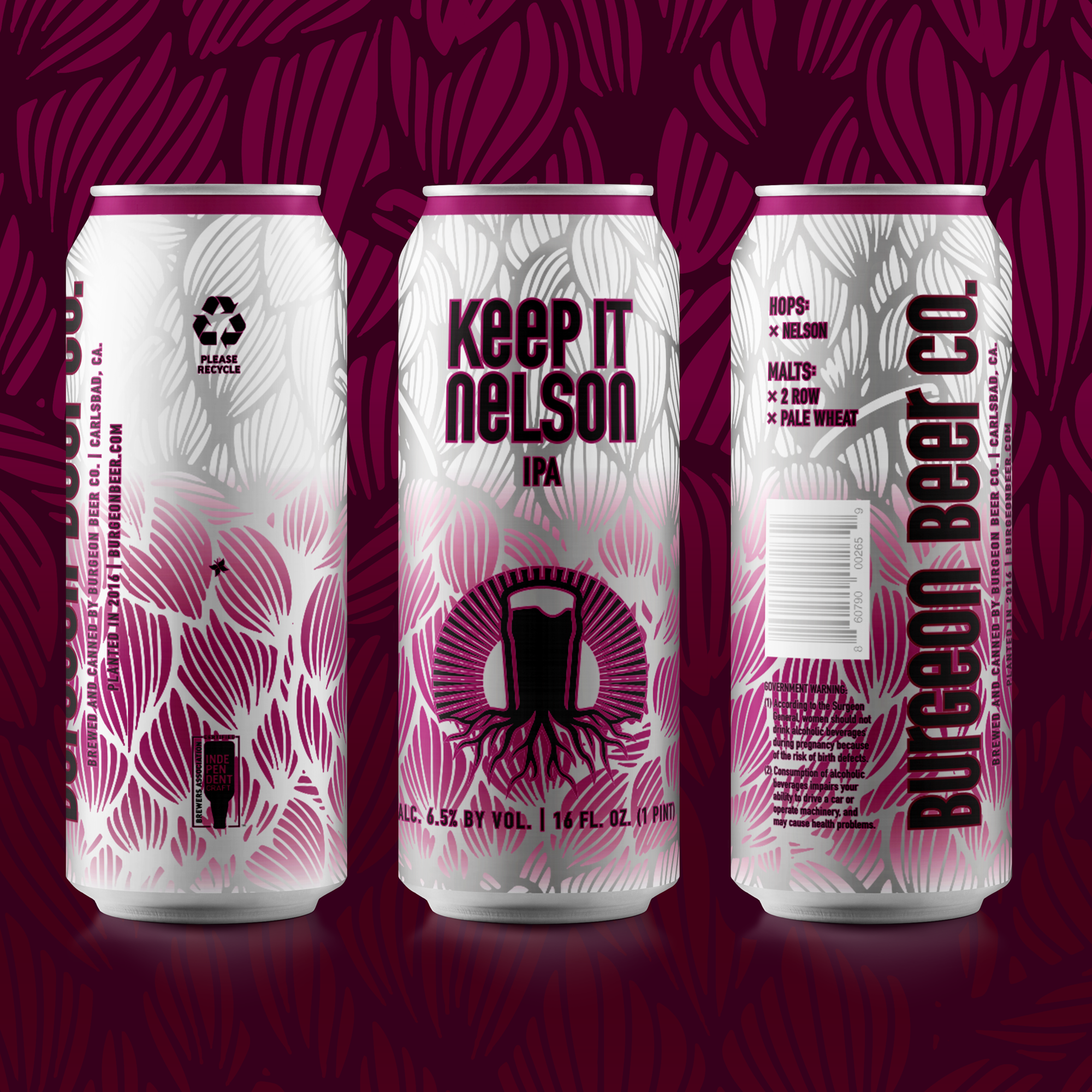 Online Pre-Sale & Can Release: Keep it Nelson IPA