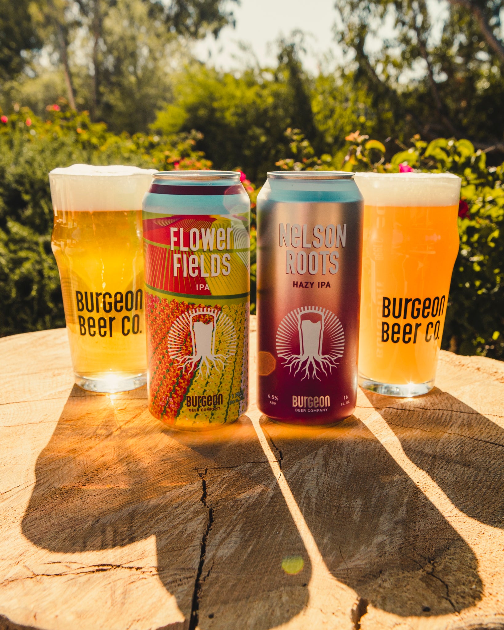 Double Can Release: Nelson Roots Hazy IPA & Flower Fields IPA!