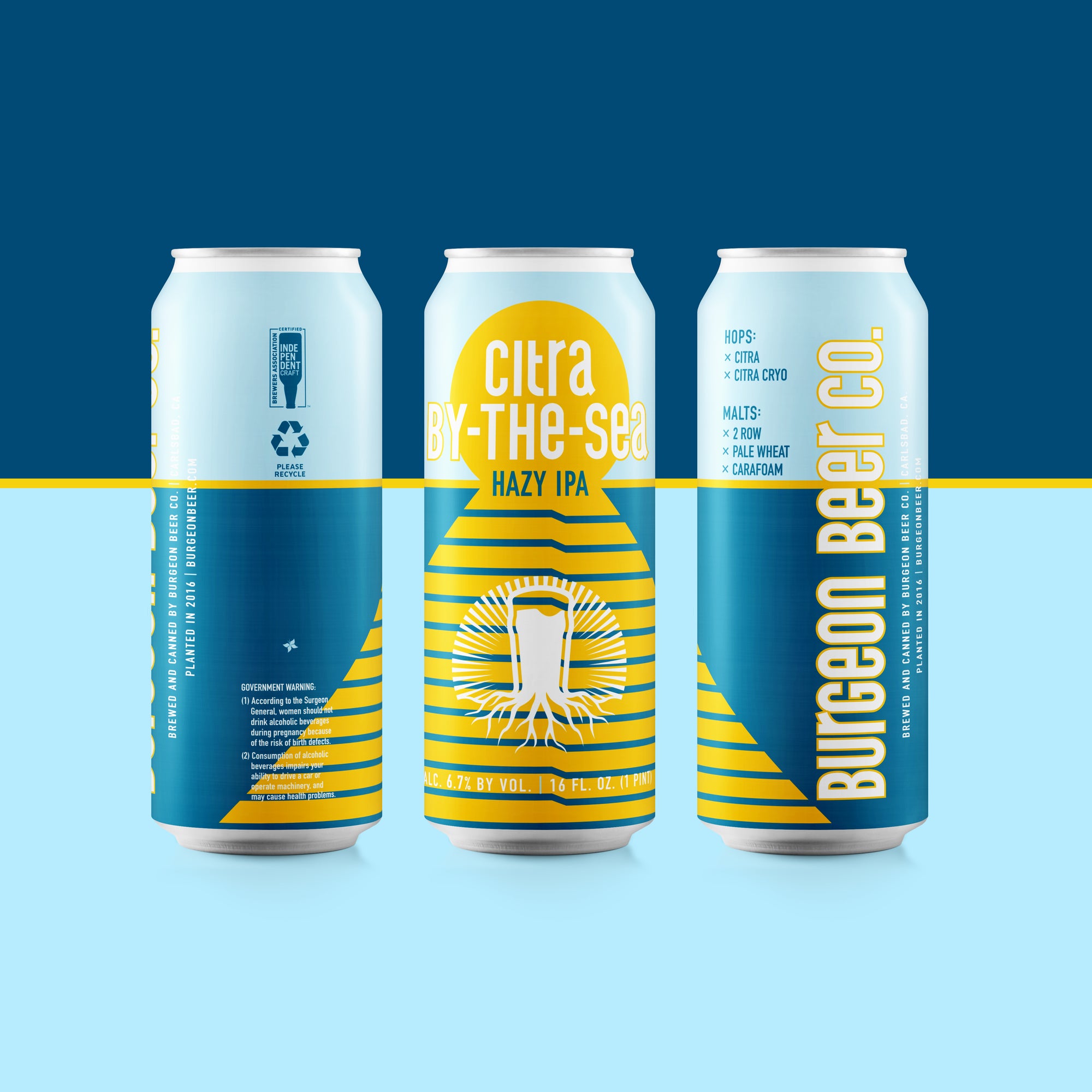 Citra-By-The-Sea Online Presale & Can Release