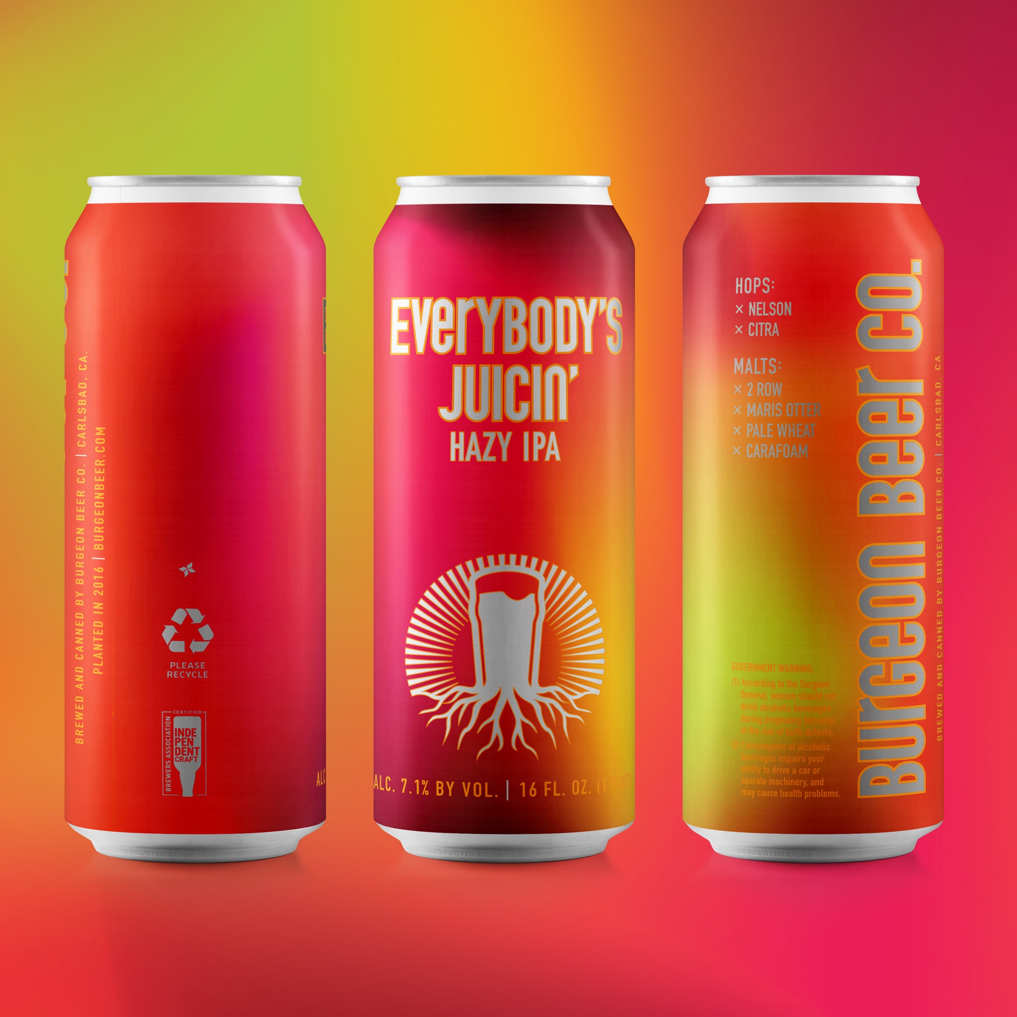 Online Pre-Sale & Can Release: Everybody's Juicin' Hazy IPA