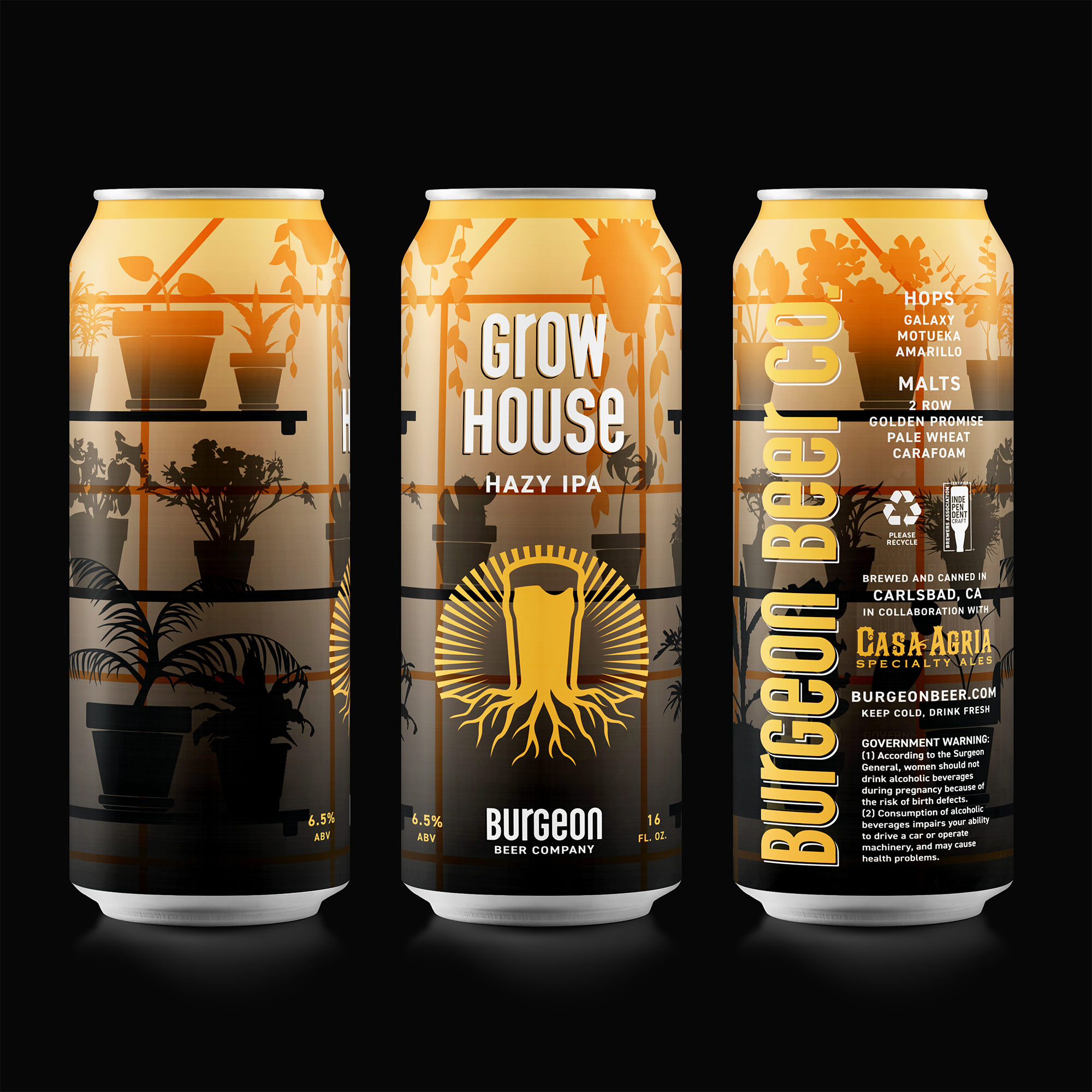 Online Pre-Sale & Can Release: Grow House Hazy IPA