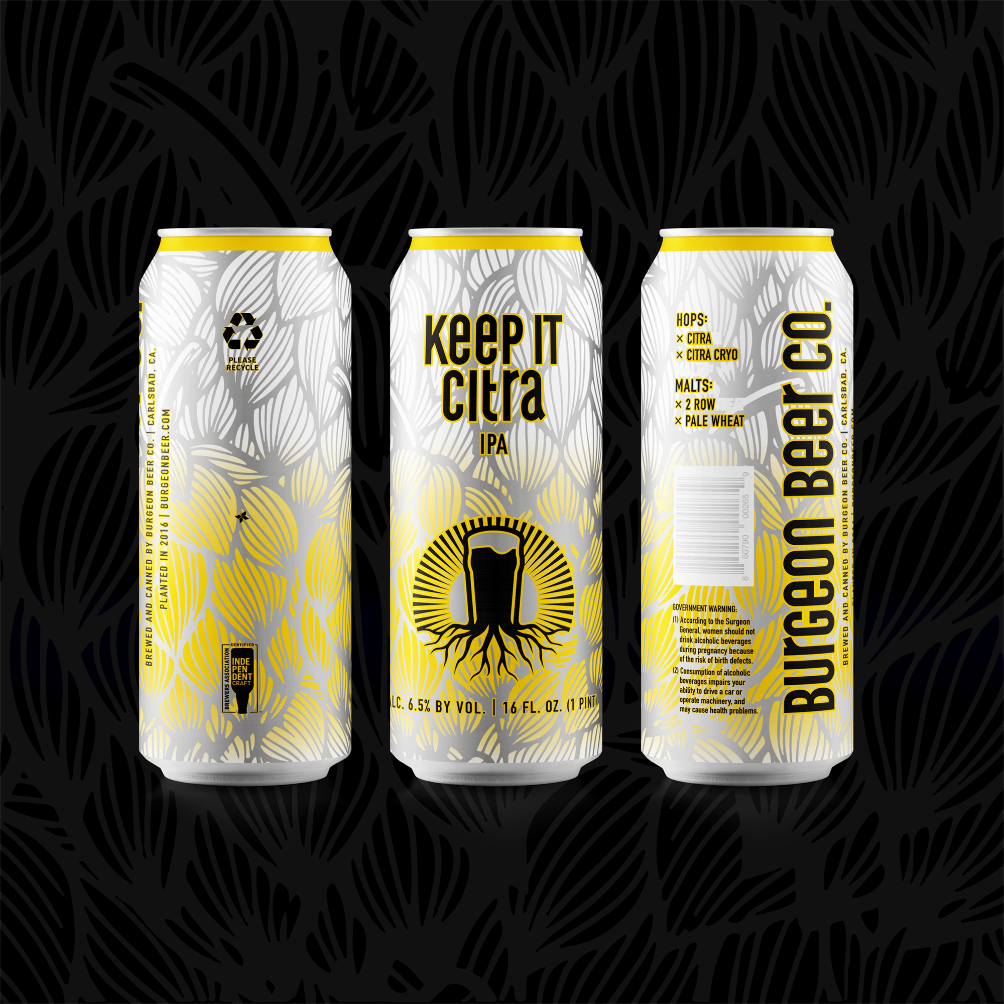 CAN RELEASE: Keep it Citra IPA is Back!!!