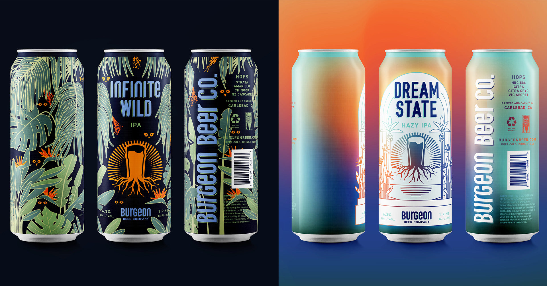 Double Can Release: Infinite Wild & Dream State