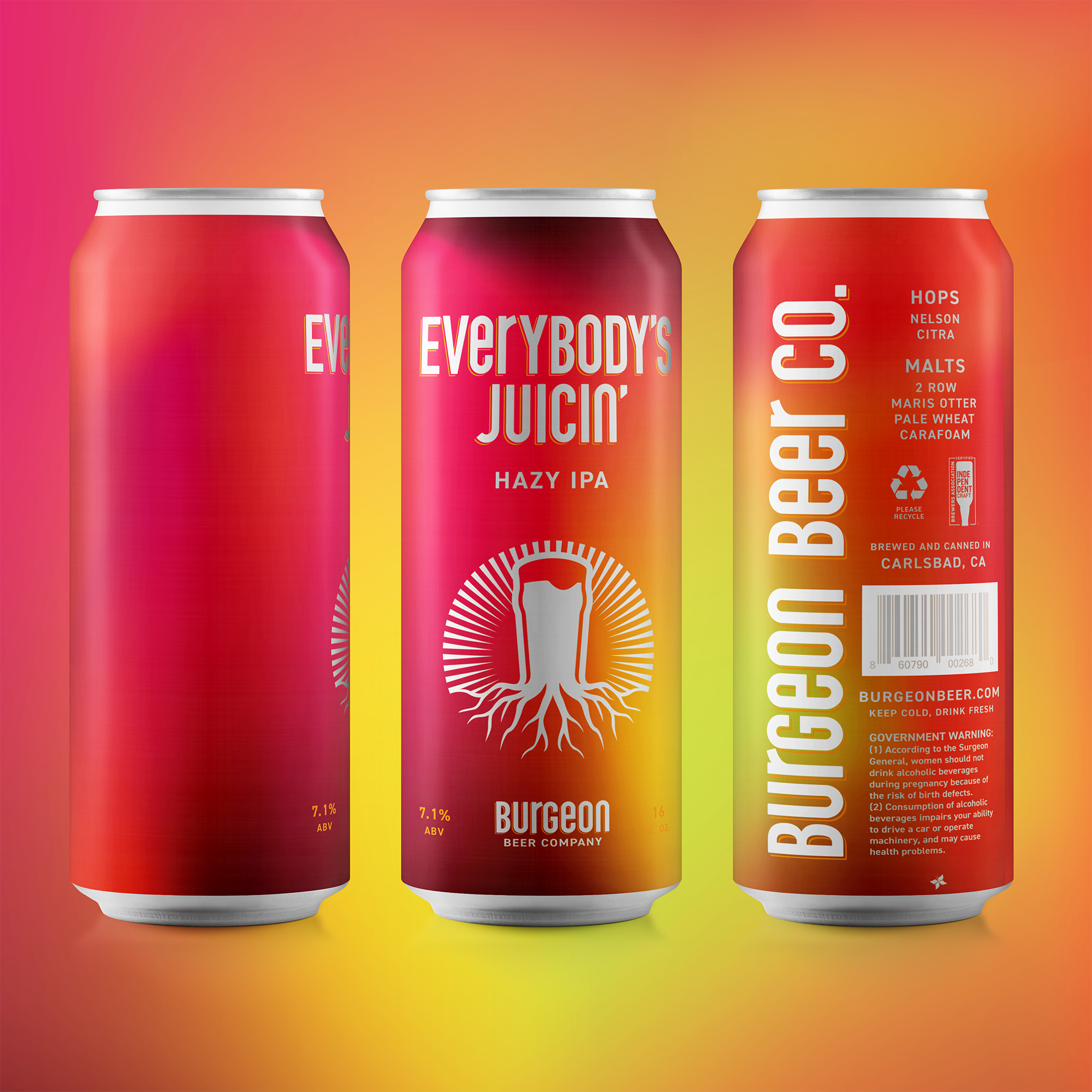 Can Release: Everybody's Juicin' Hazy IPA