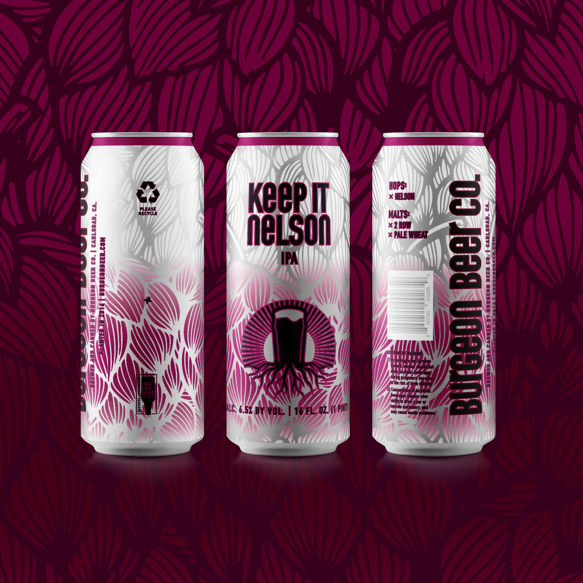 Can Release: Keep It Nelson IPA