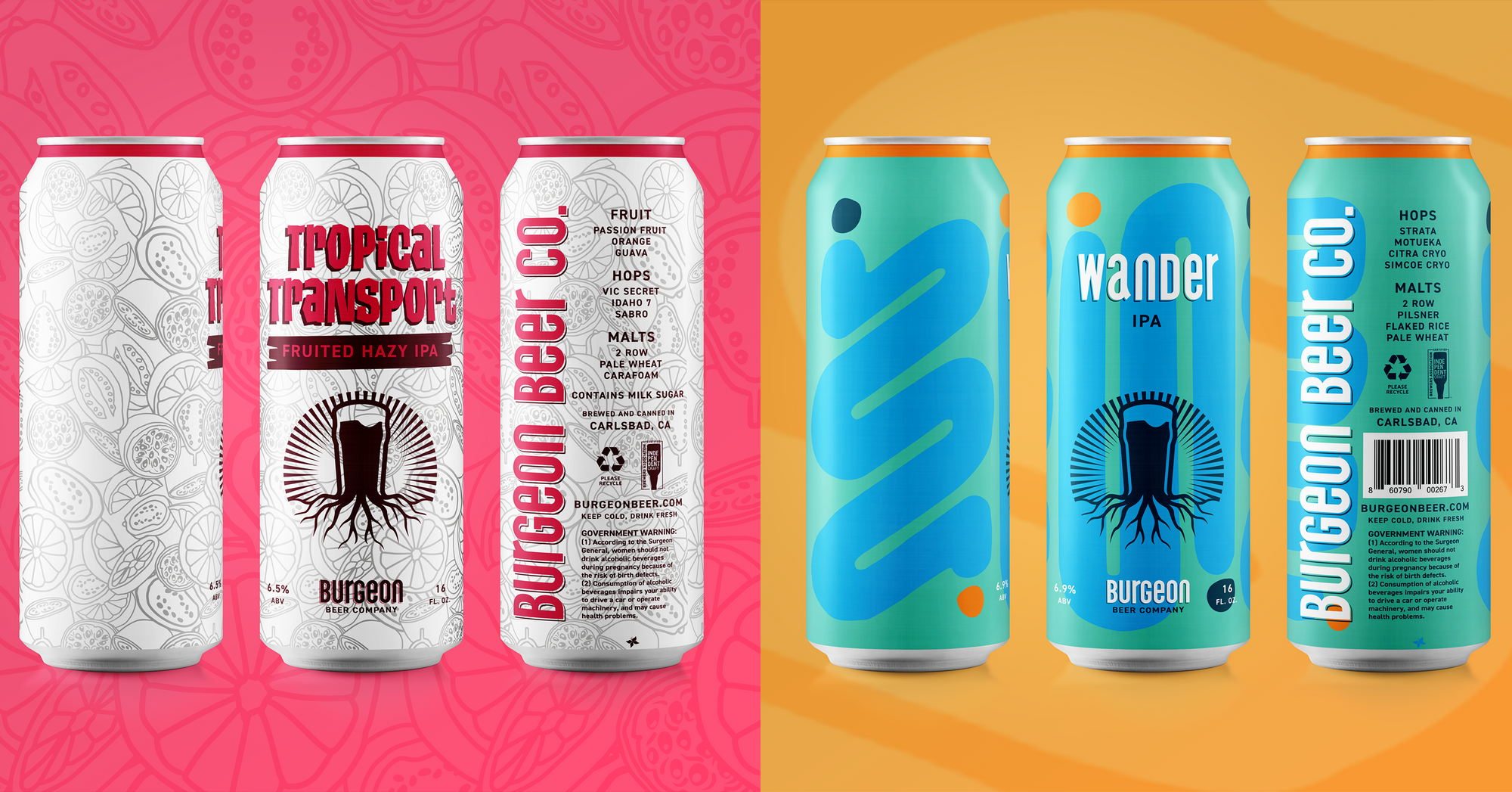 Double Can Release: Tropical Transport Fruited Hazy IPA & Wander West Coast IPA