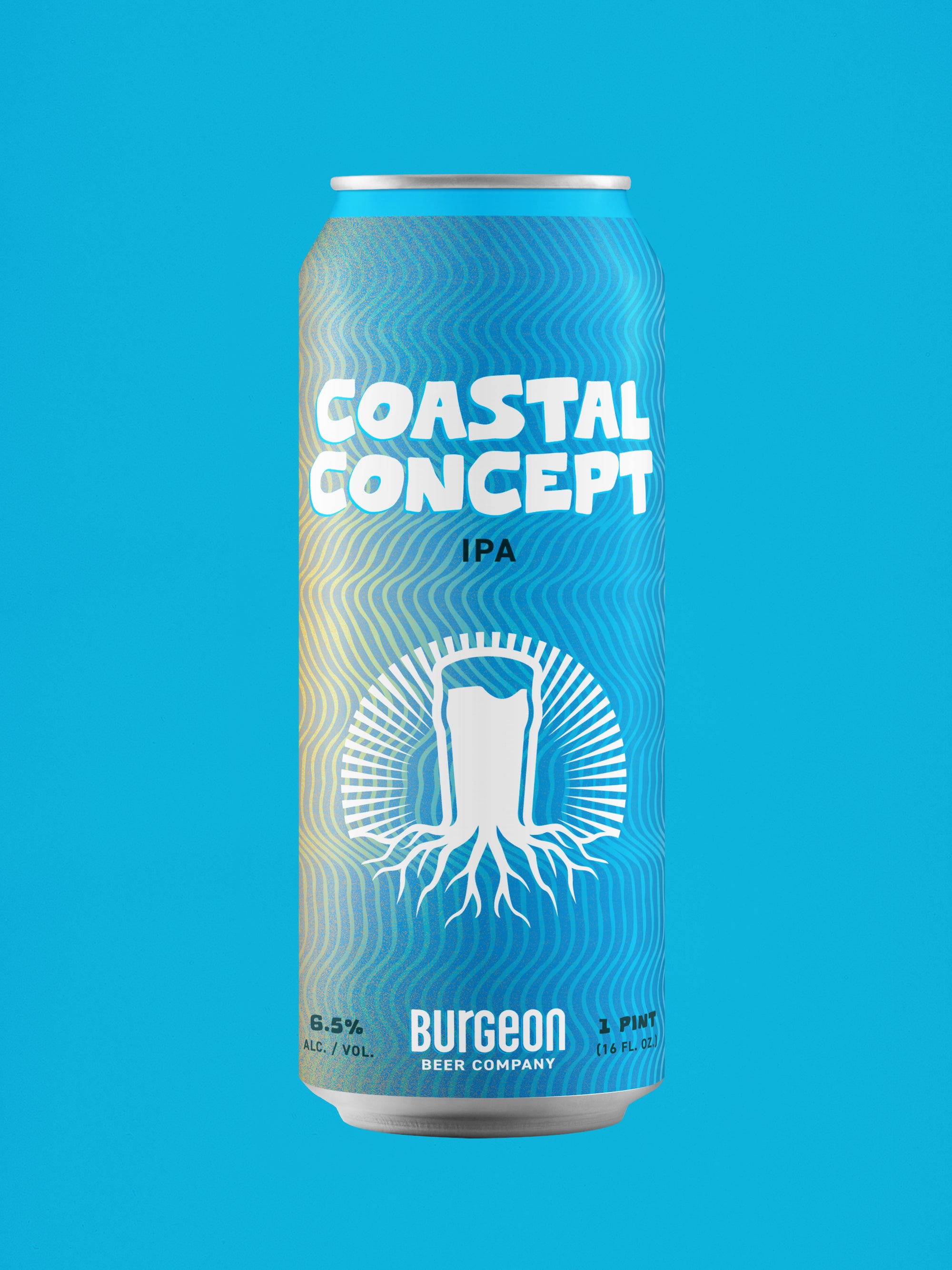 Coastal Concept IPA - 4 Pack