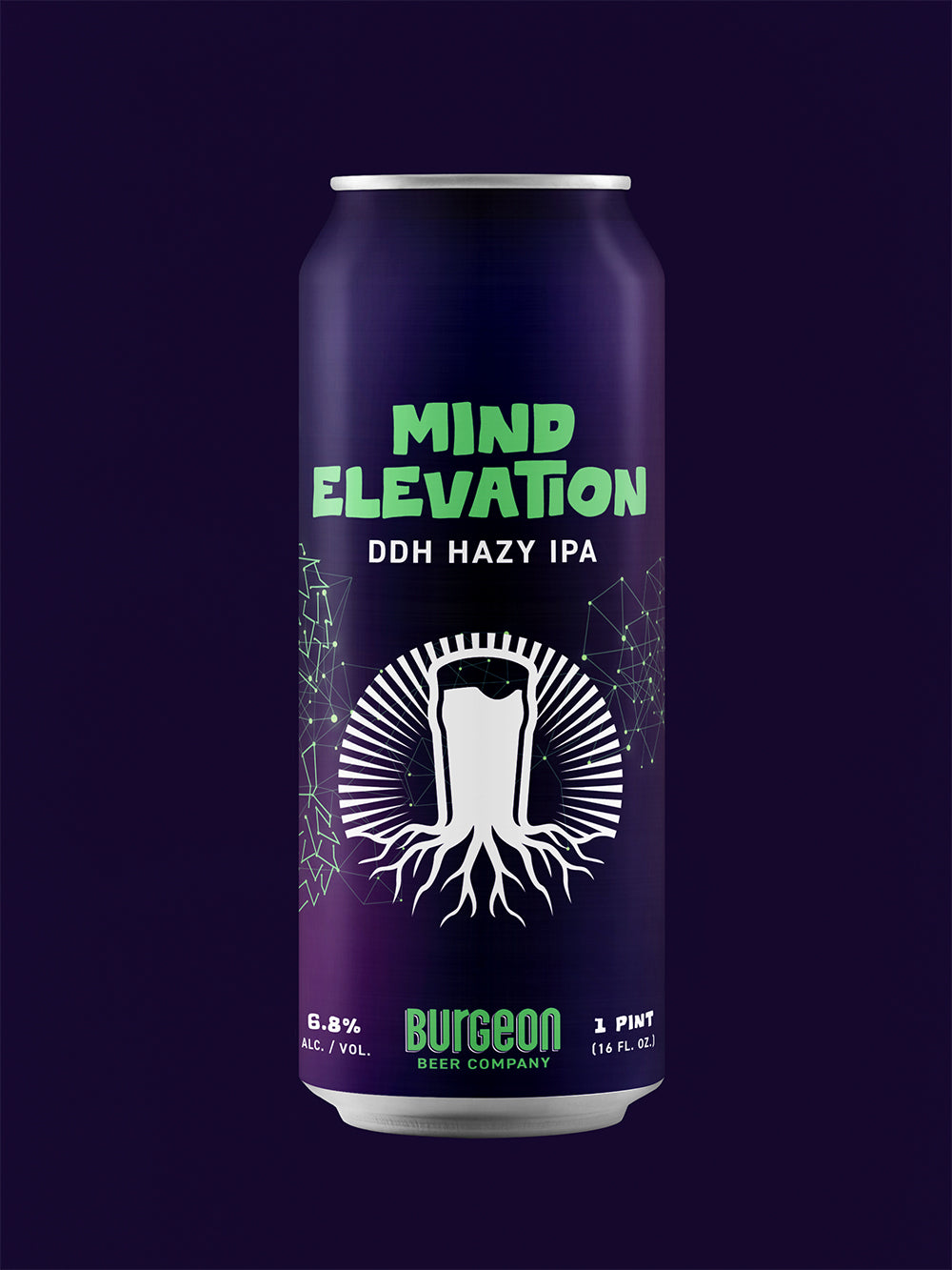 Mind Elevation DDH Hazy IPA - 4 Pack