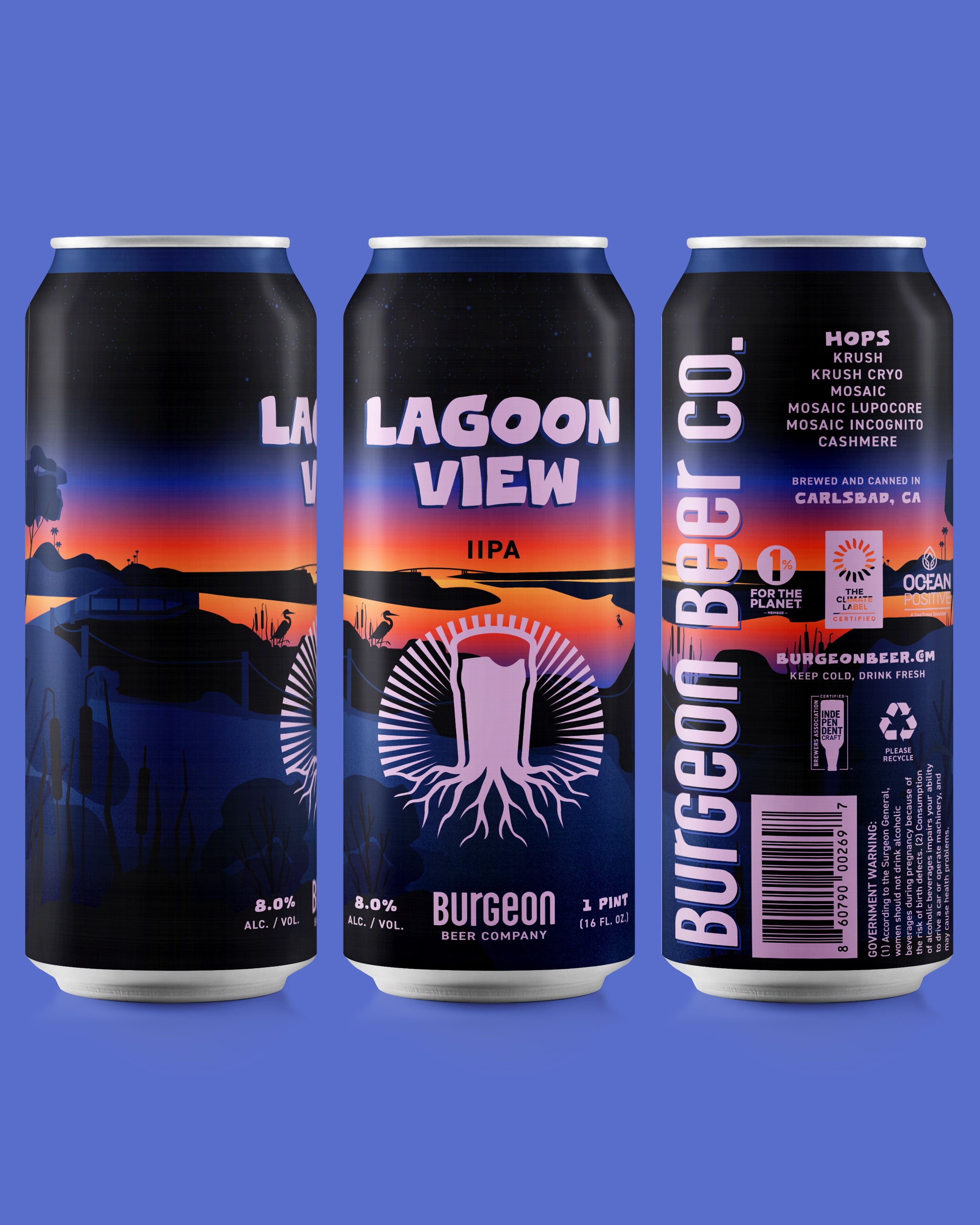 Lagoon View Double IPA - 4 Pack