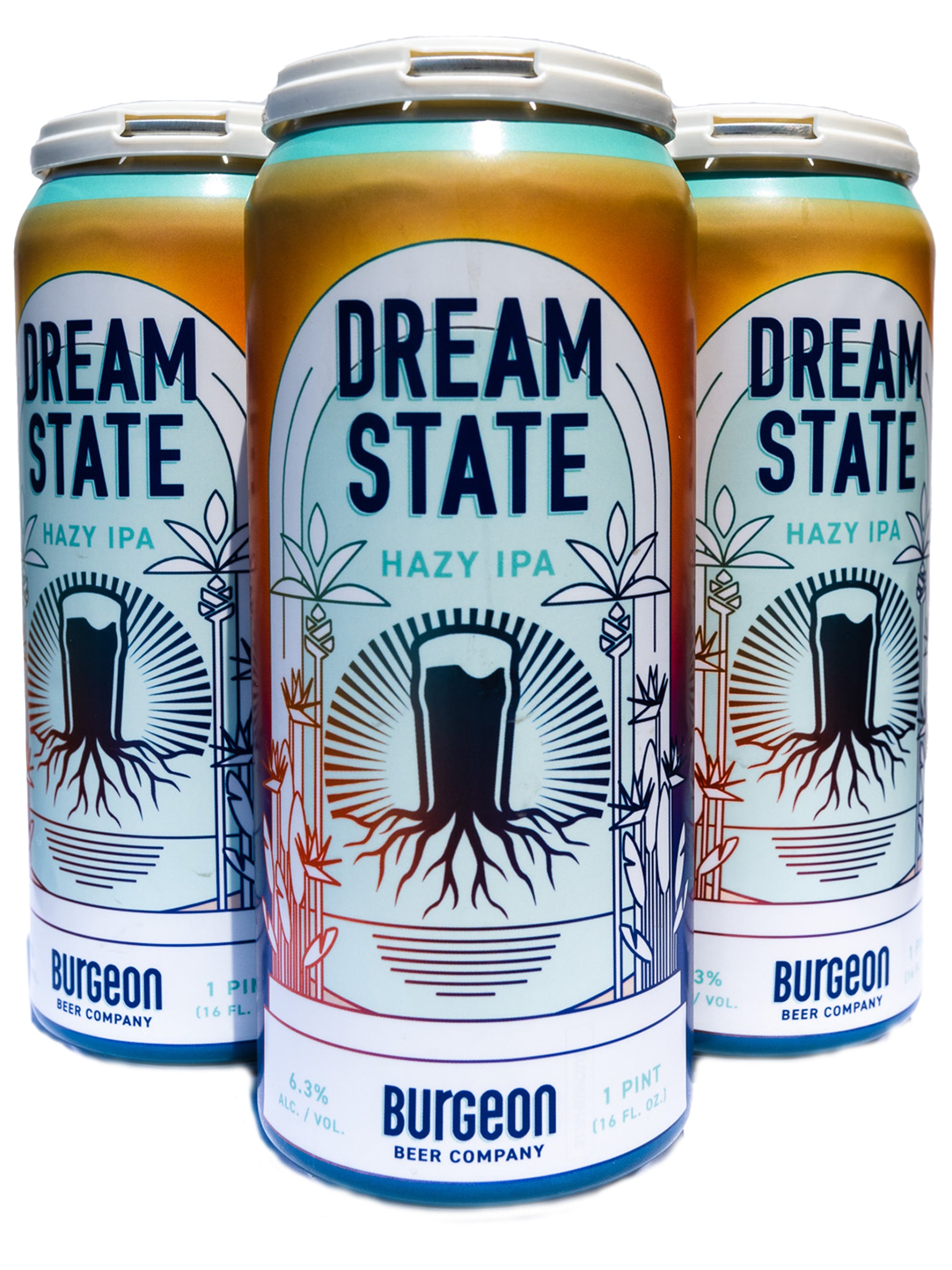 Dream State Hazy IPA - 4 Pack