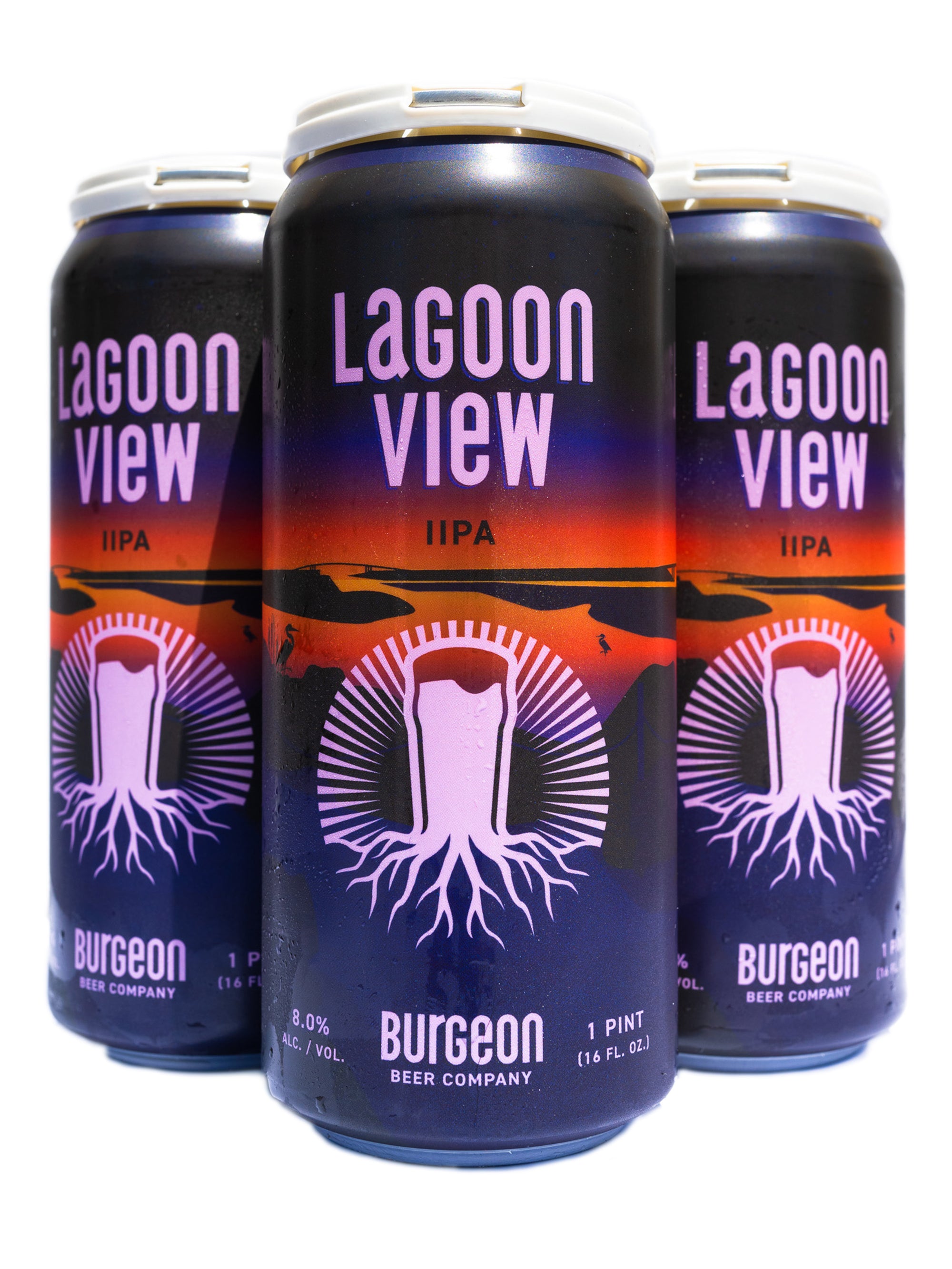 Lagoon View Double IPA - 4 Pack
