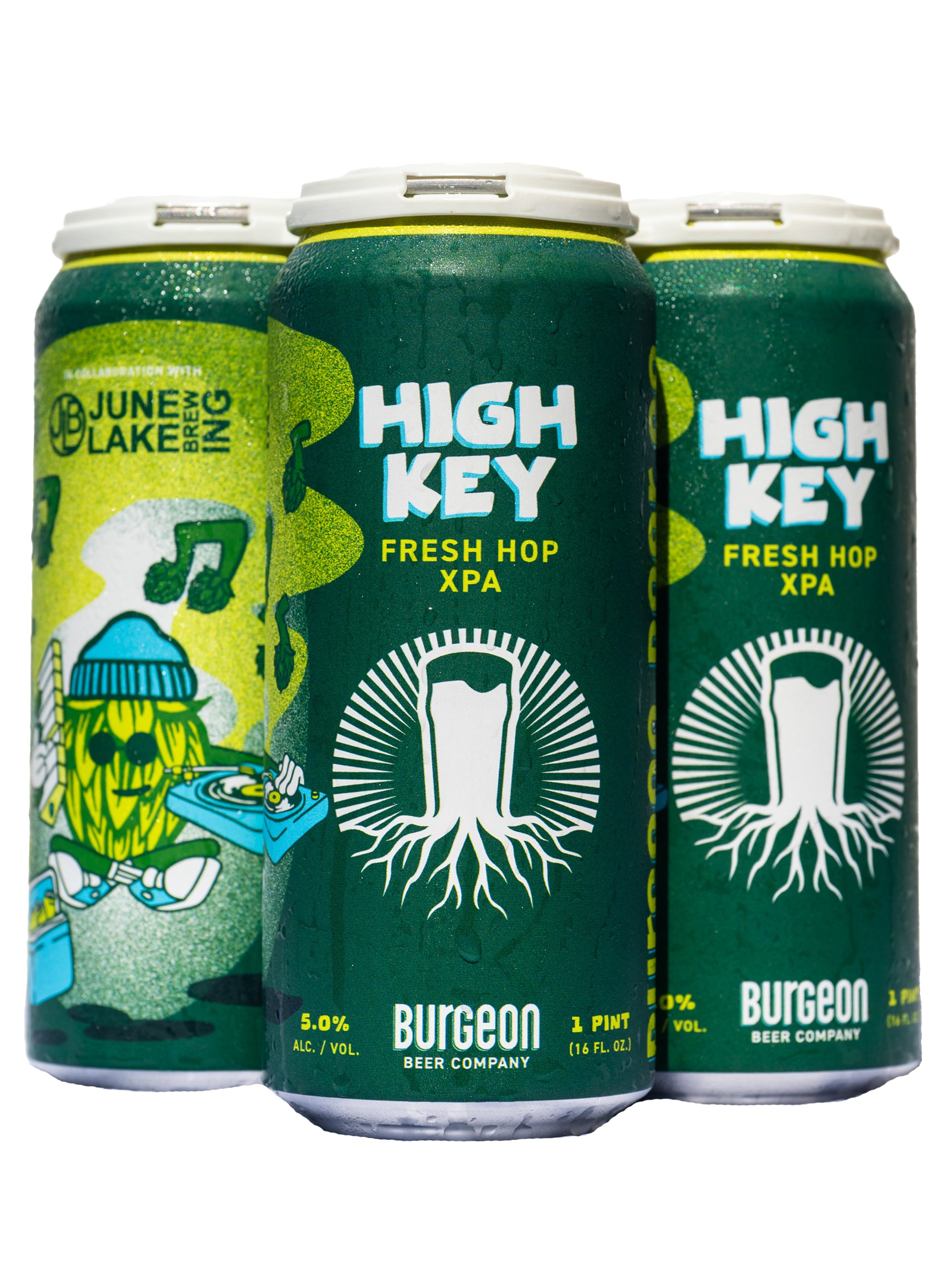 High Key Fresh Hop XPA - 4 Pack