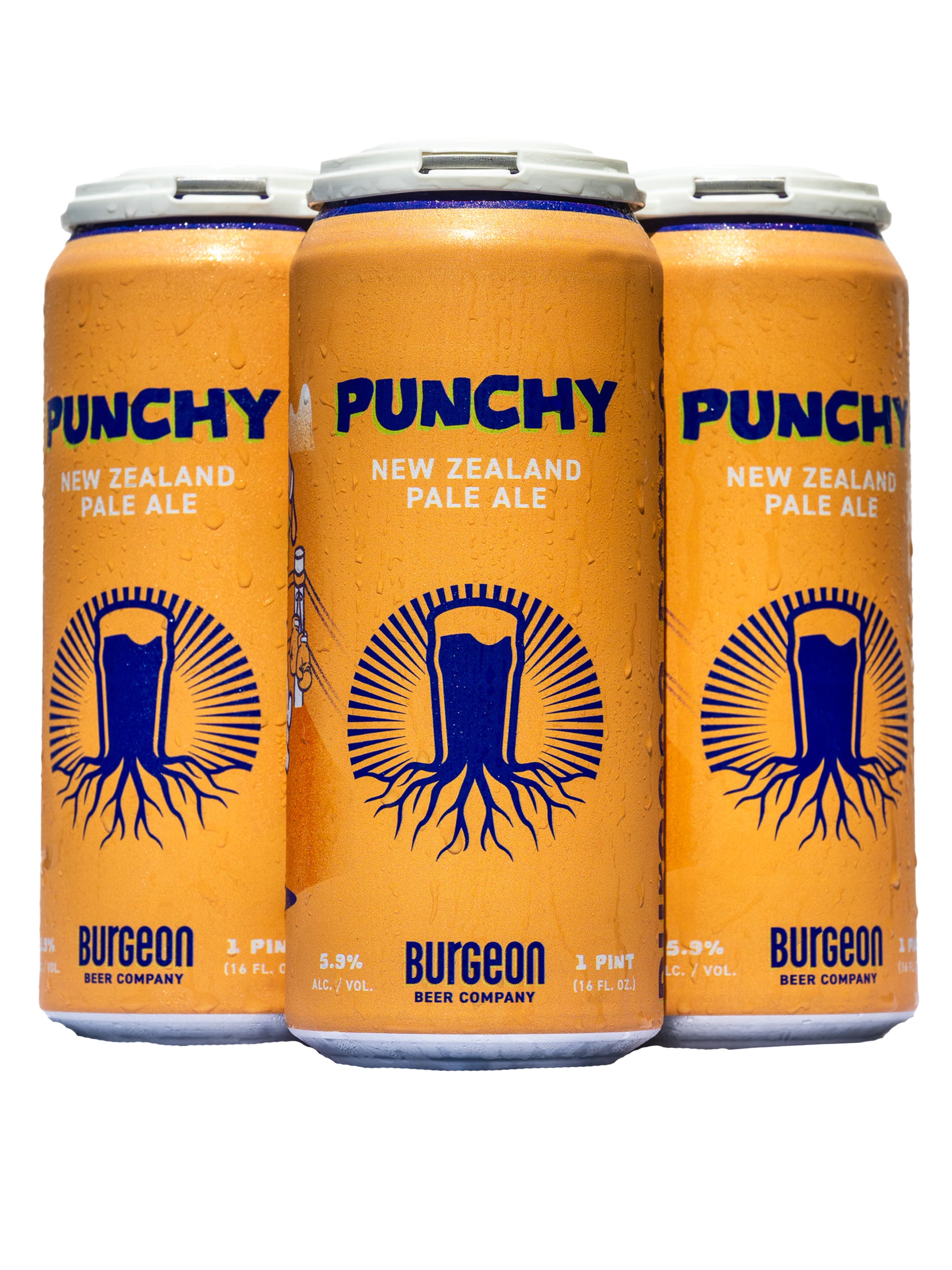 Punchy New Zealand Pale Ale - 4 Pack