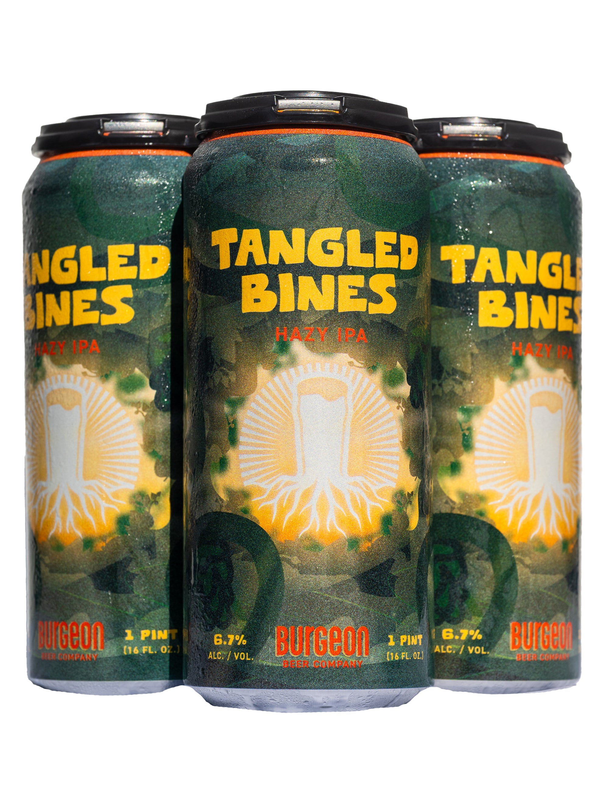 Tangled Bines Hazy IPA - 4 Pack