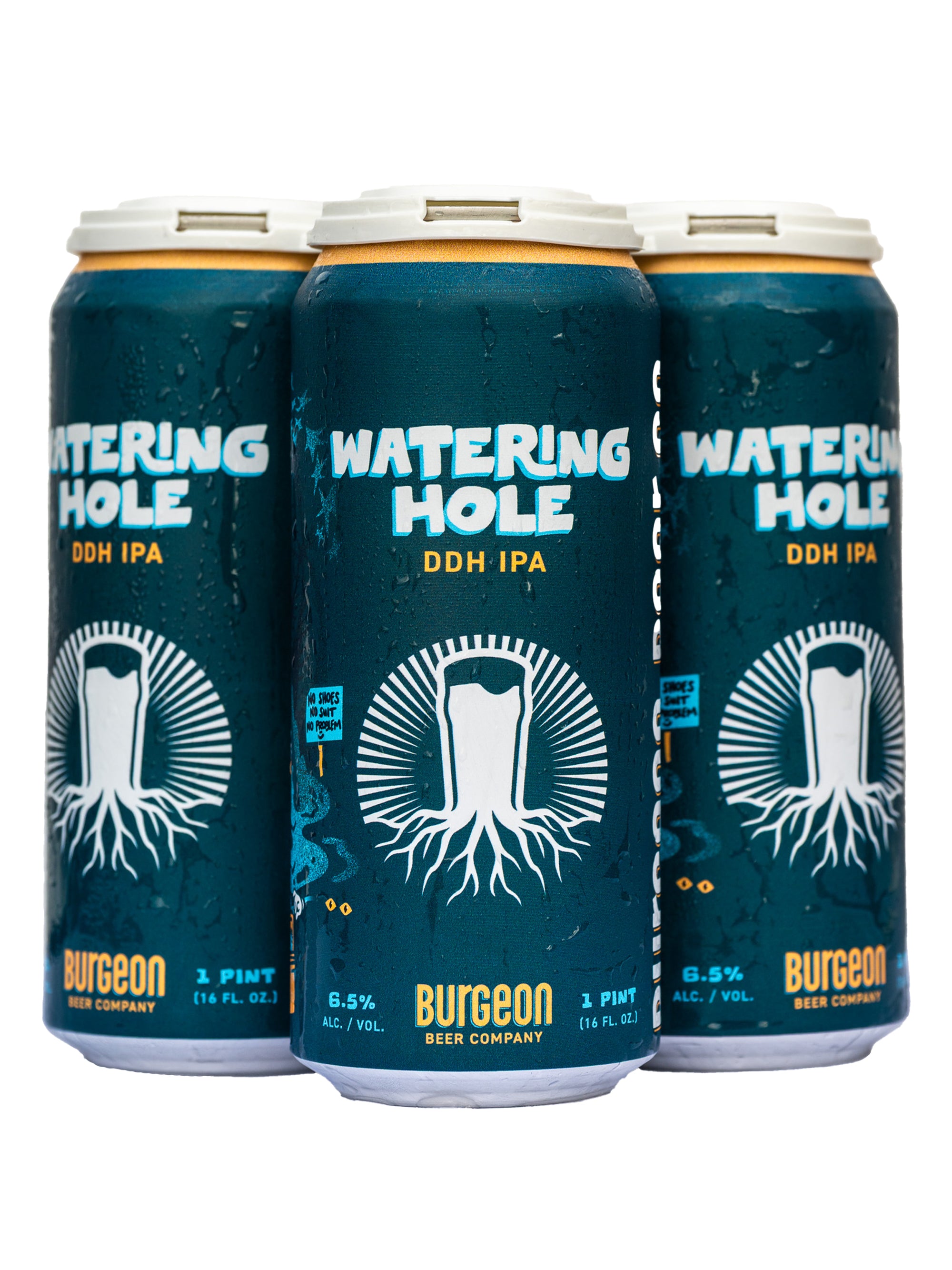 Watering Hole DDH IPA - 4 Pack