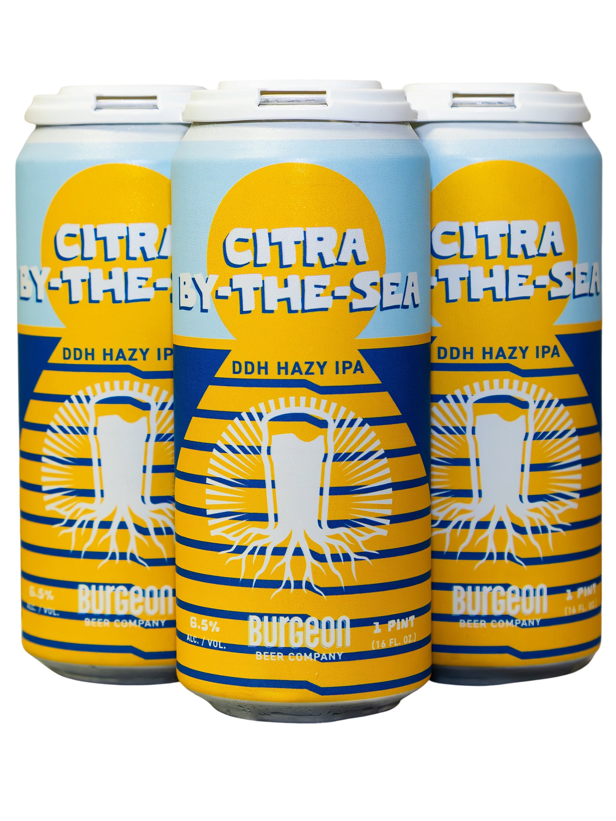 Citra-by-the-Sea Hazy IPA - 4 Pack