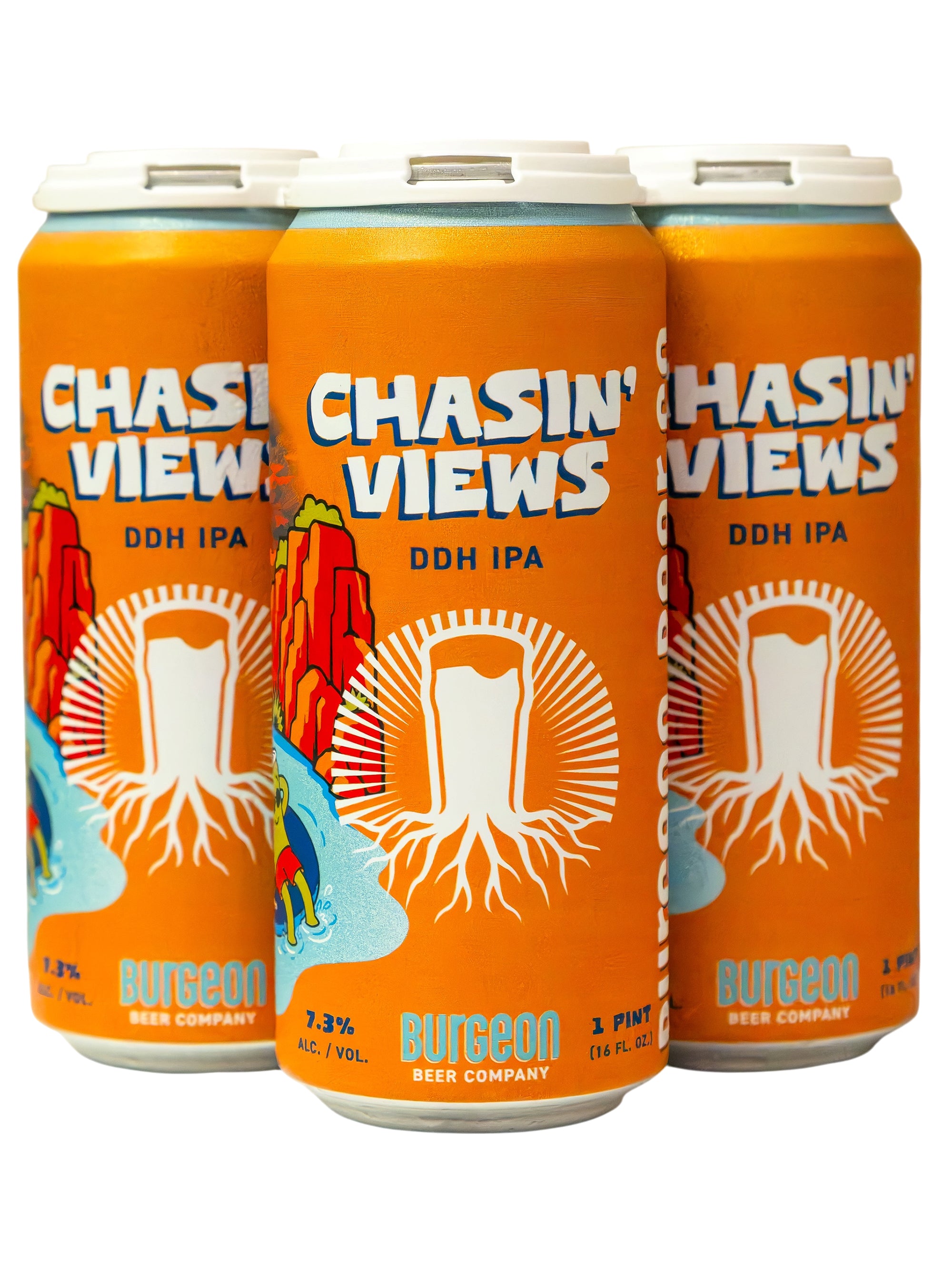 Chasin' Views DDH IPA - 4 Pack