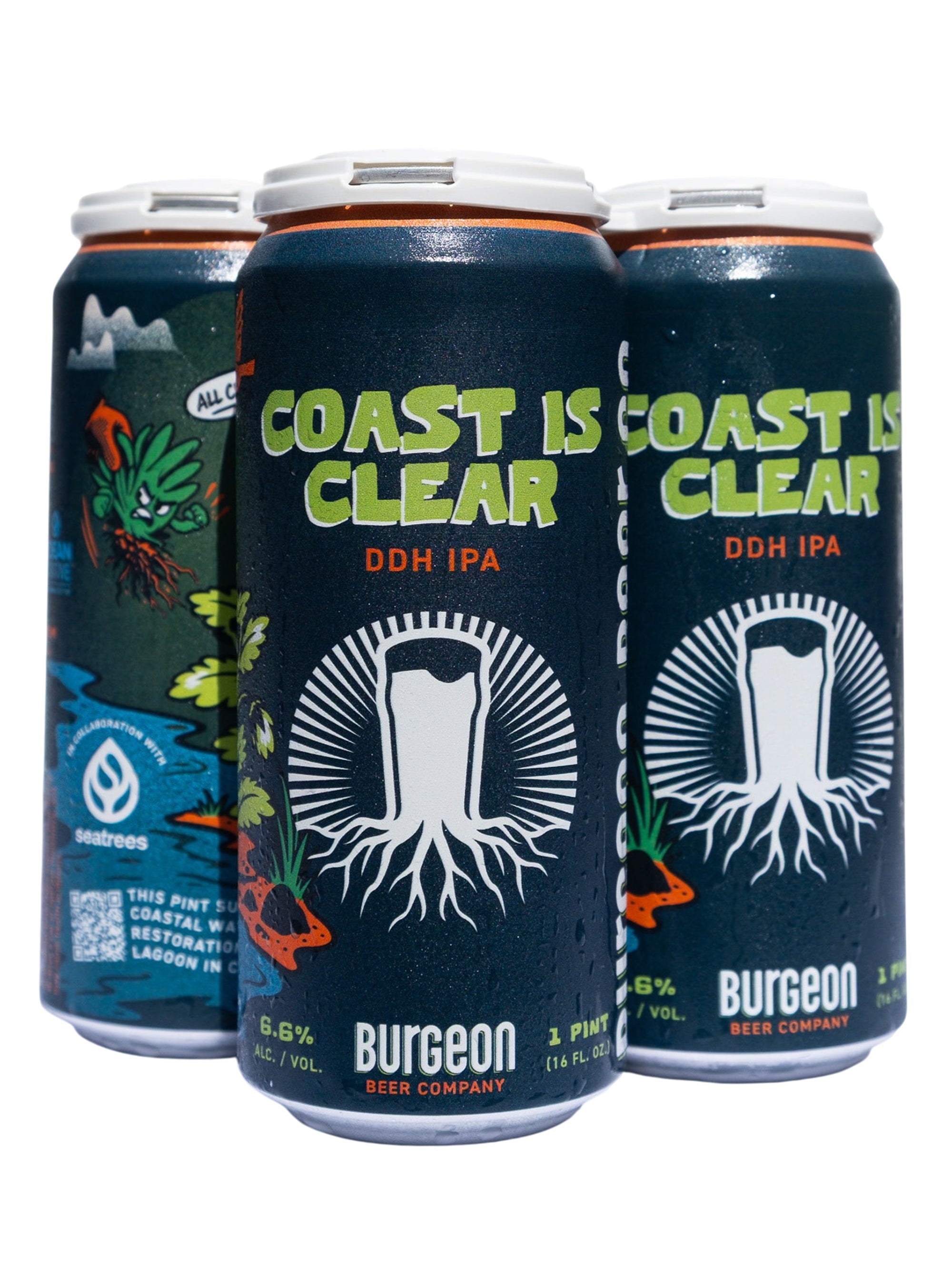 Coast Is Clear DDH IPA - 4 Pack