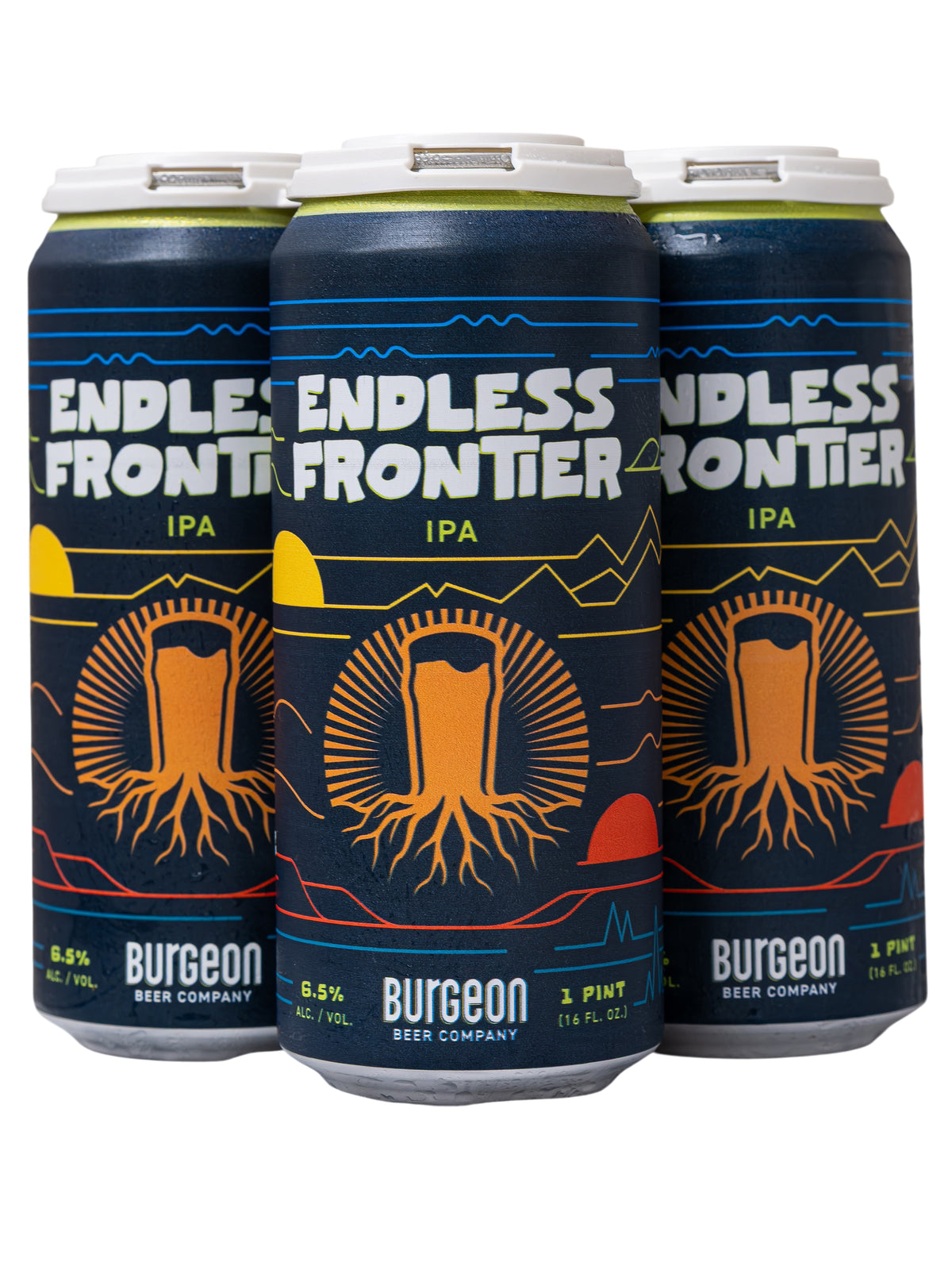 Endless Frontier IPA - 4 Pack