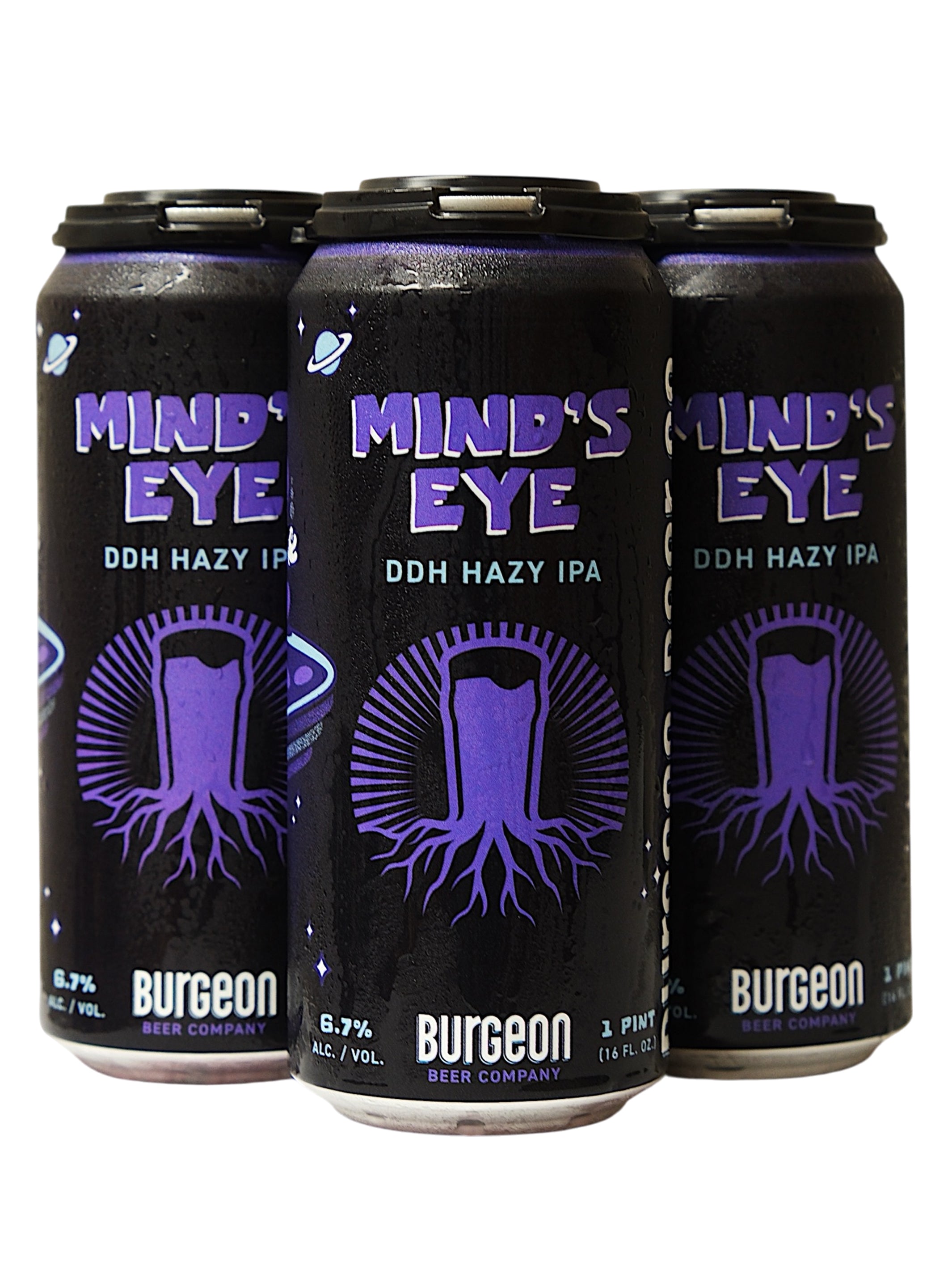 Mind's Eye DDH Hazy IPA - 4 Pack