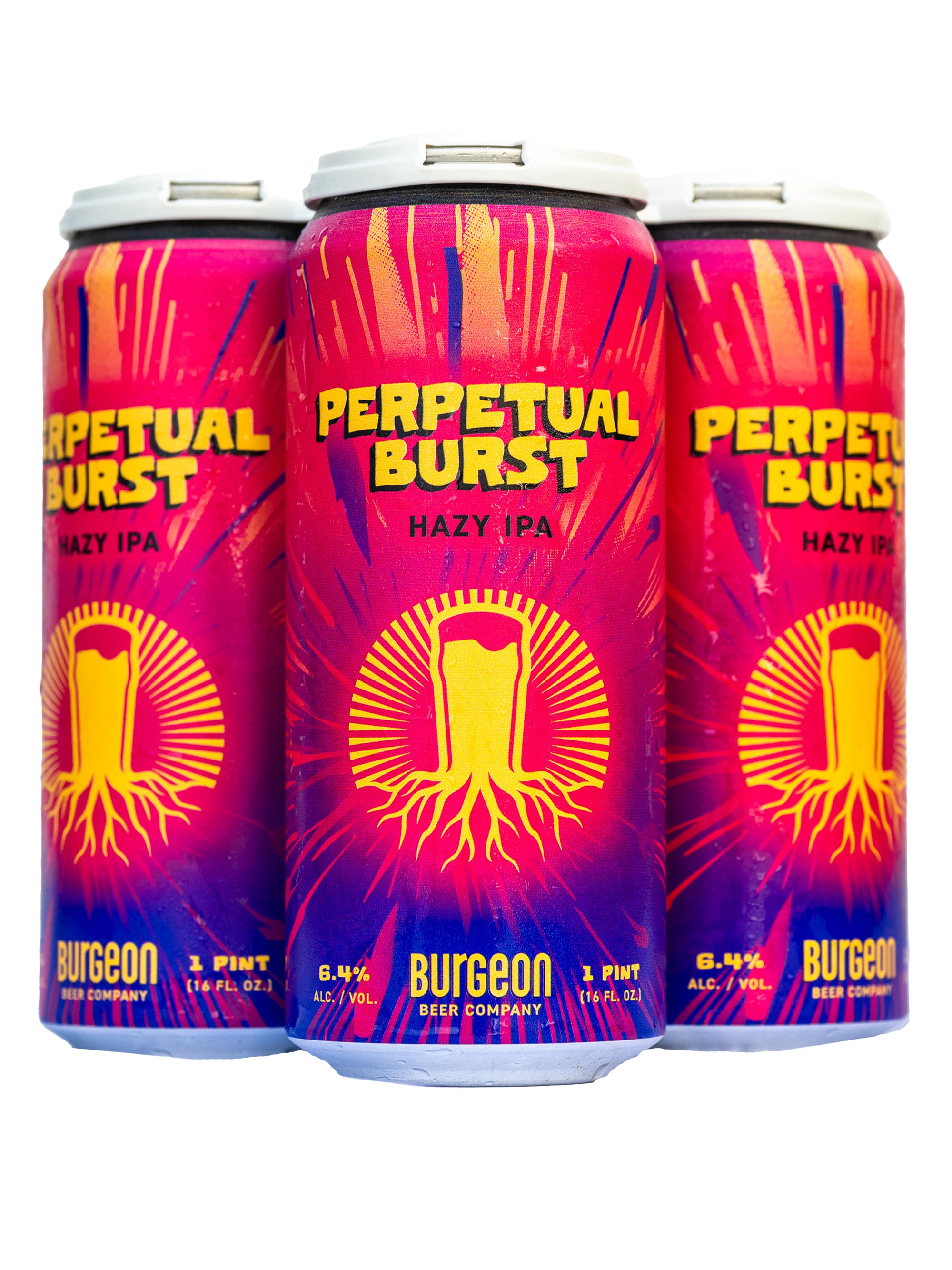 Perpetual Burst Hazy IPA - 4 Pack