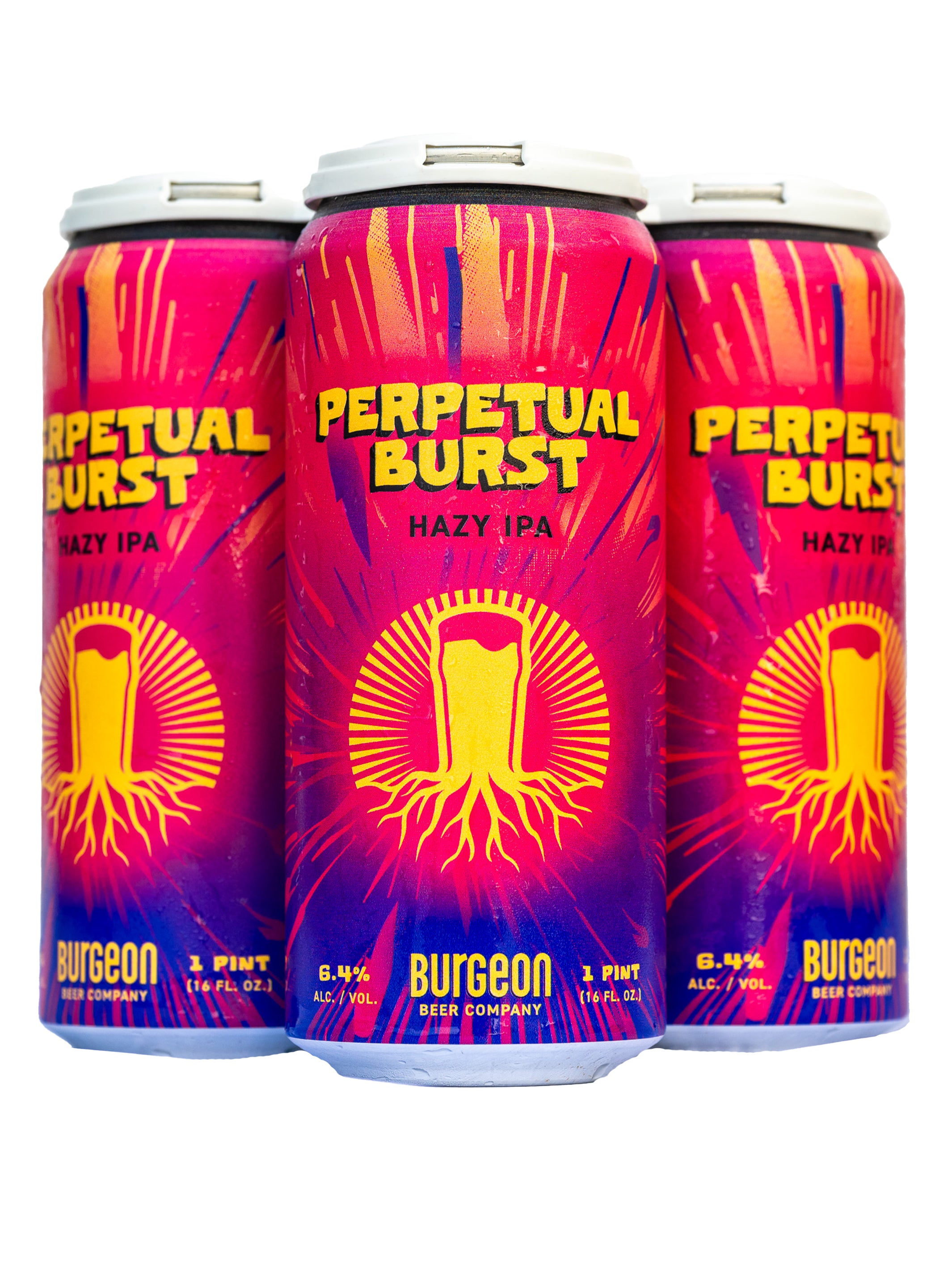 Perpetual Burst Hazy IPA - 4 Pack