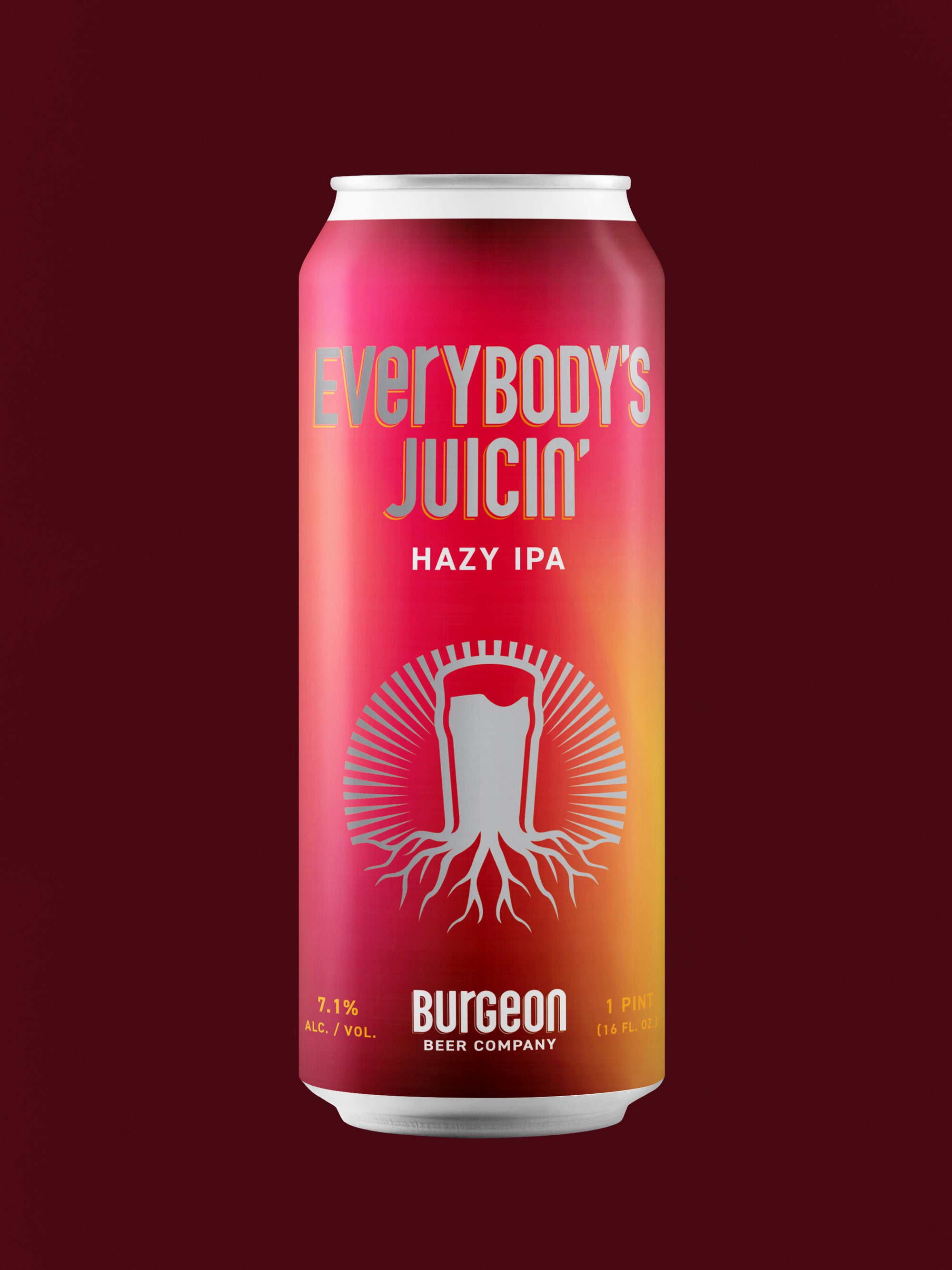 Everybody's Juicin' IPA - 4 Pack