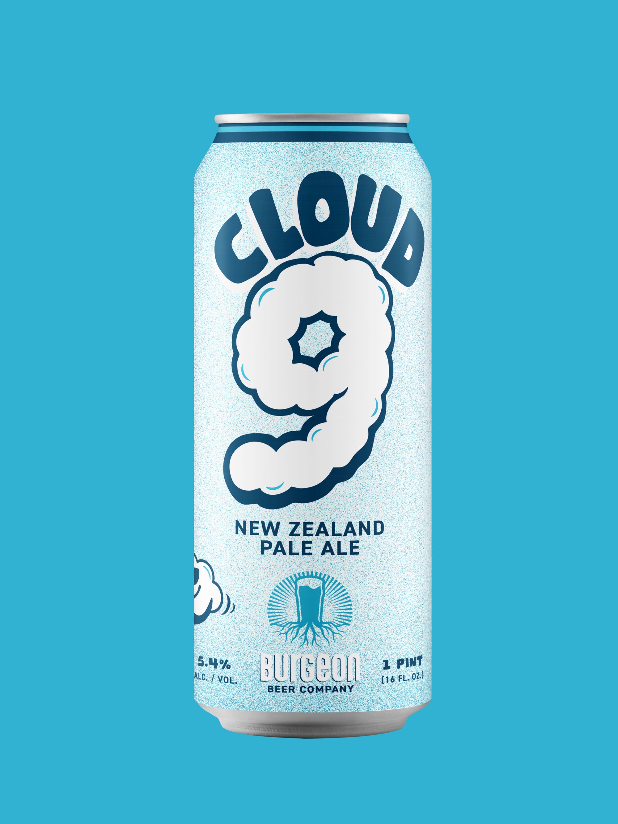 Cloud 9 NZ Pale Ale - 4 Pack