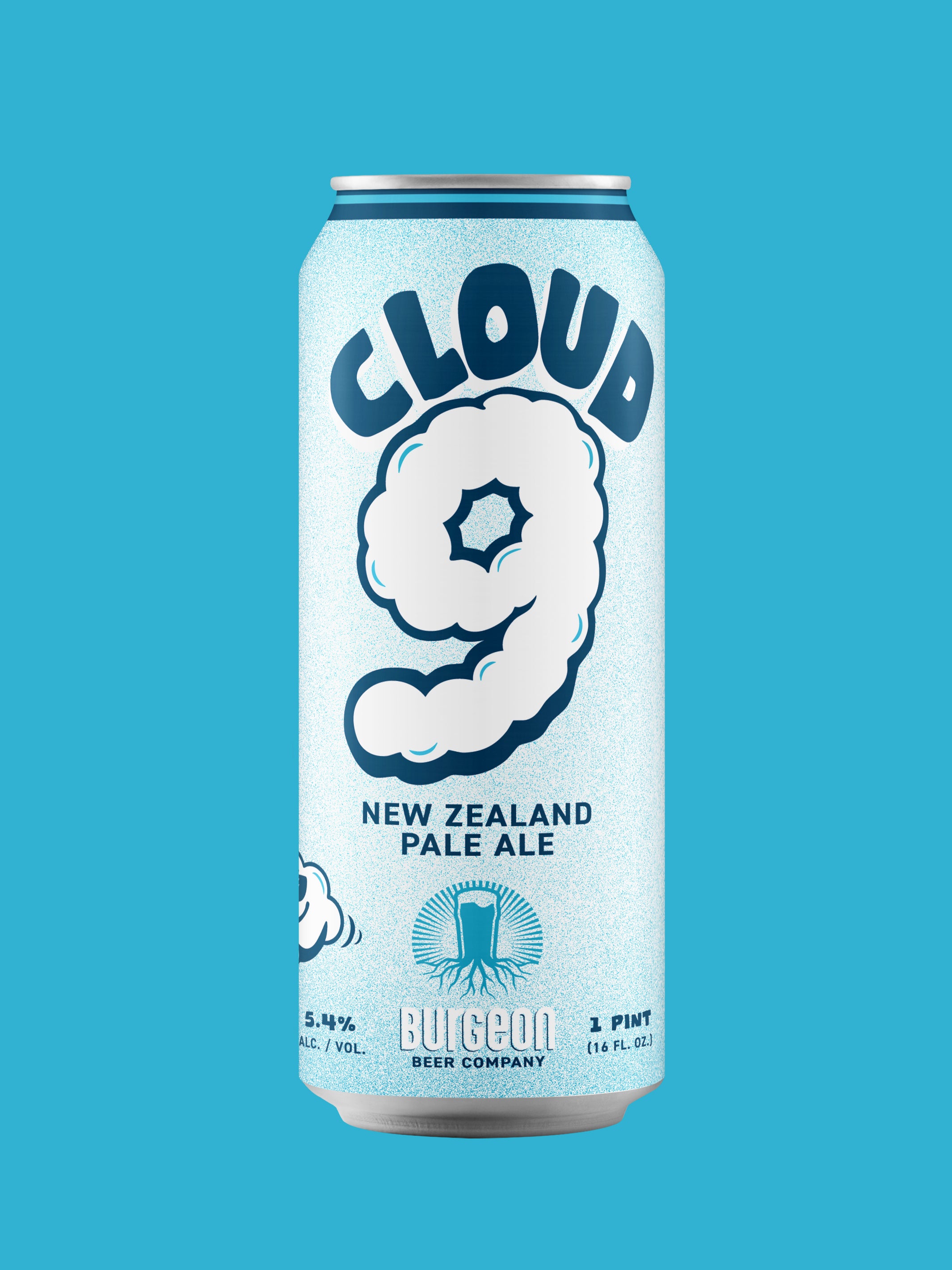 Cloud 9 NZ Pale Ale - 4 Pack