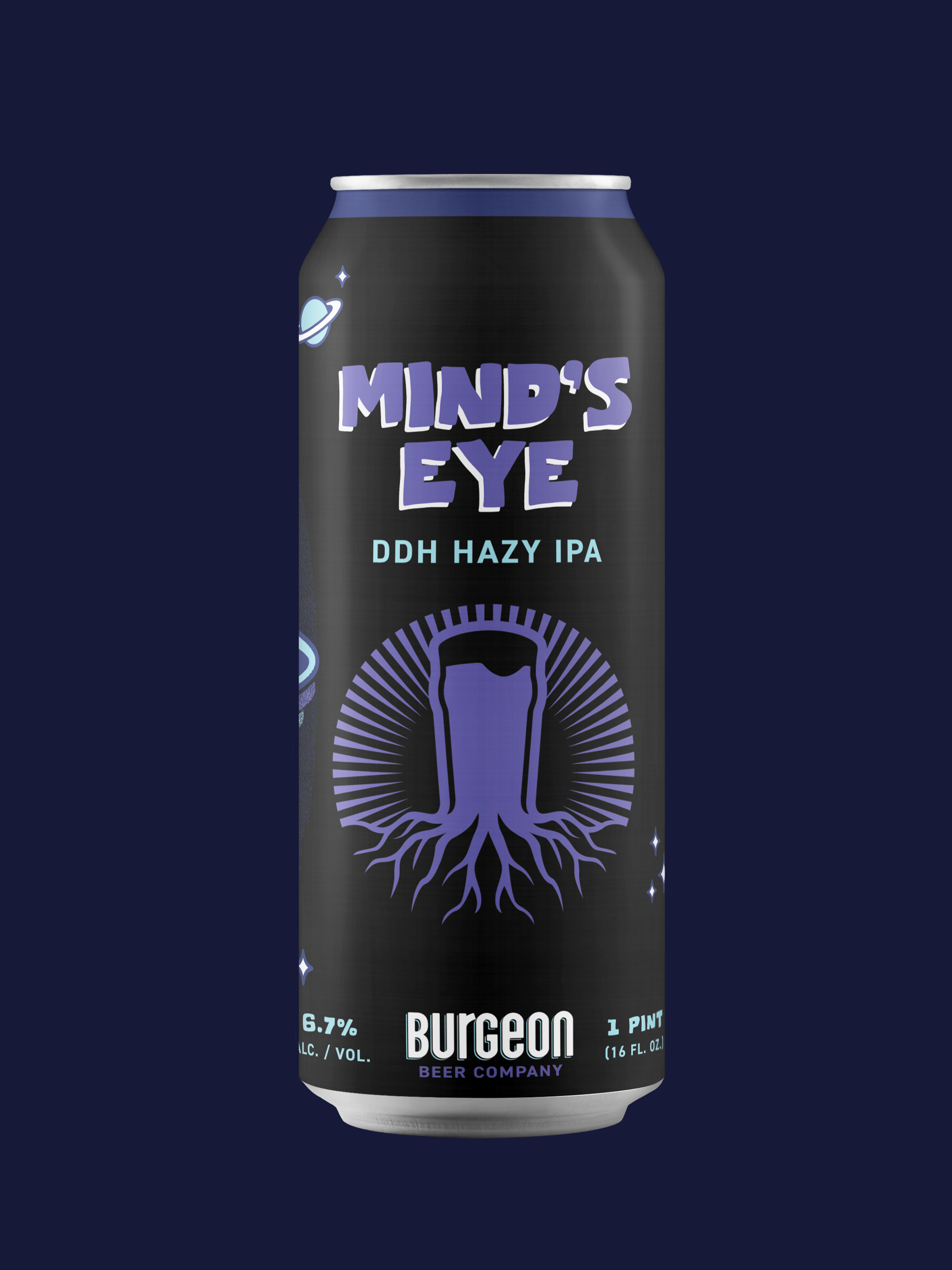 Mind's Eye DDH Hazy IPA - 4 Pack