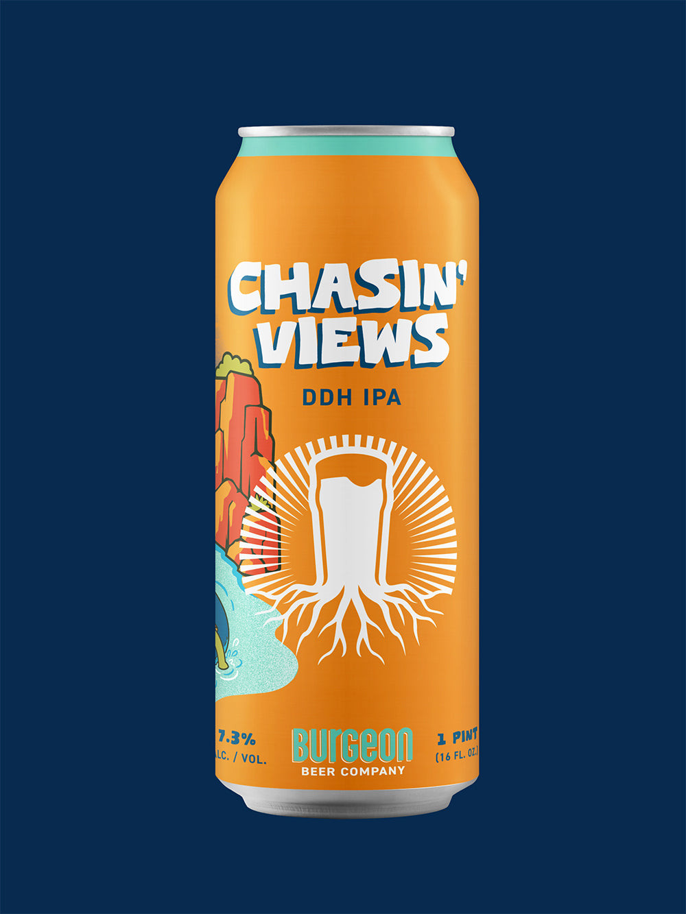 Chasin' Views DDH IPA - 4 Pack