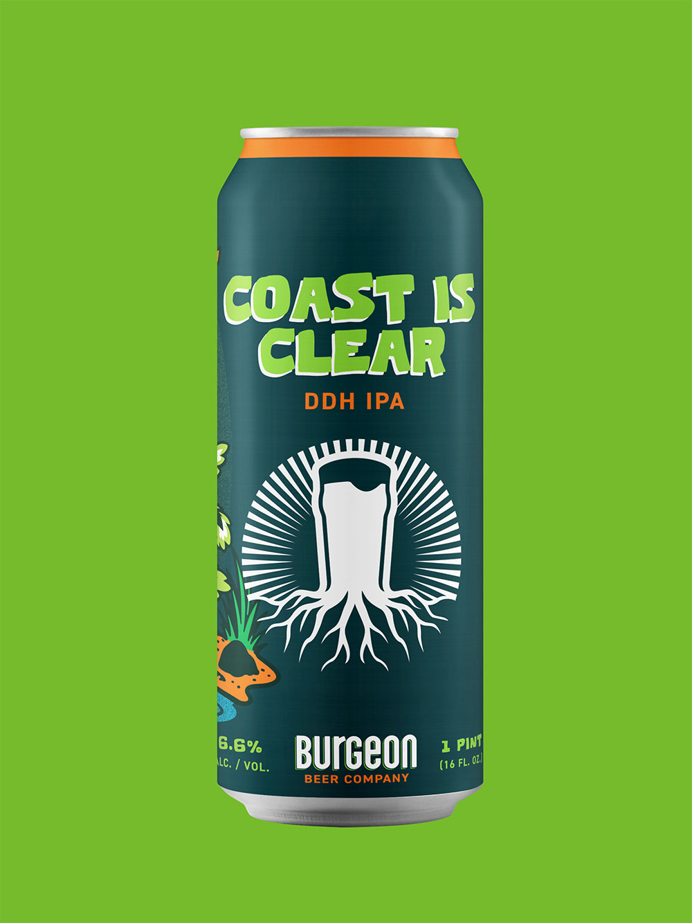 Coast Is Clear DDH IPA - 4 Pack