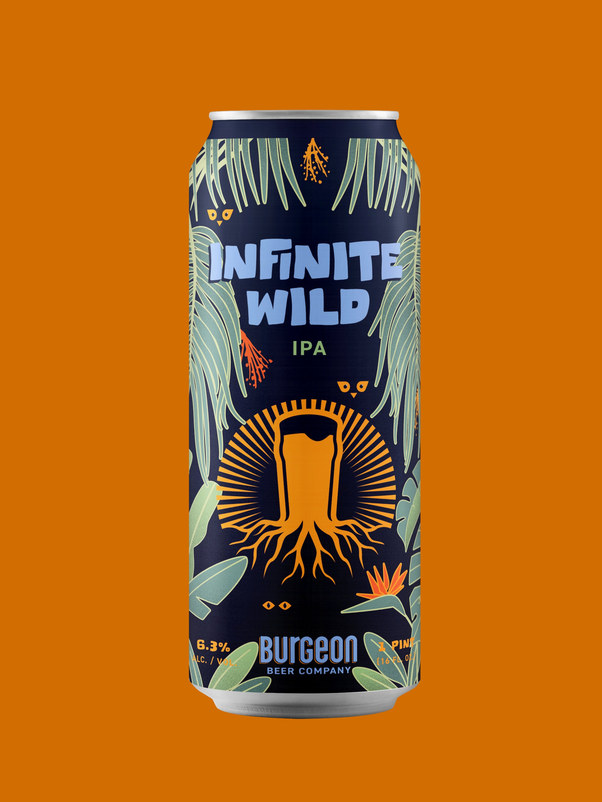 Infinite Wild IPA - 4 Pack