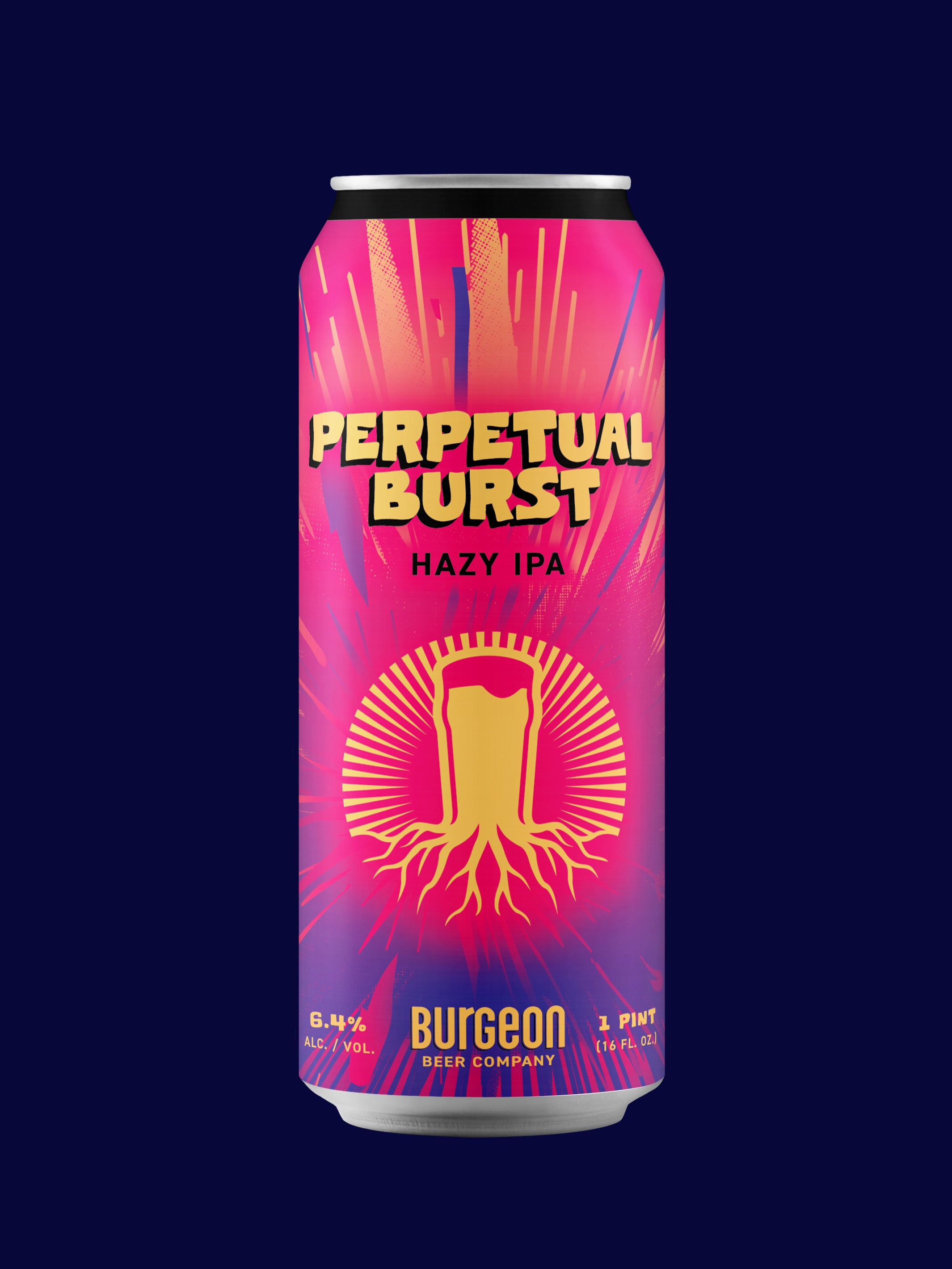 Perpetual Burst Hazy IPA - 4 Pack