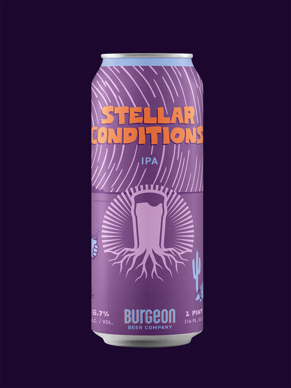 Stellar Conditions IPA - 4 Pack