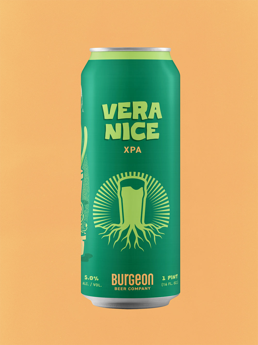 Vera Nice XPA - 4 Pack