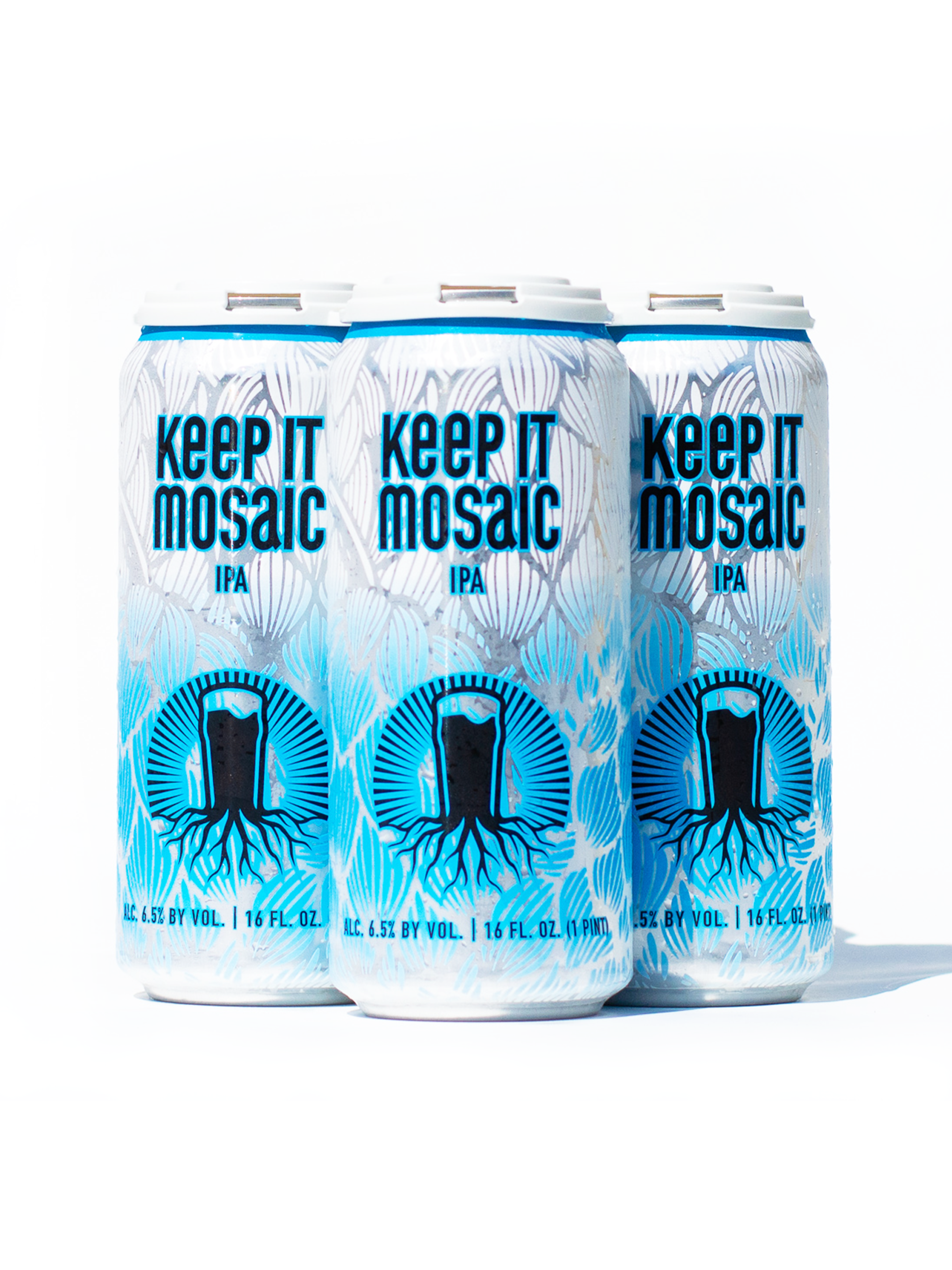 Keep It Mosaic IPA - 4 Pack
