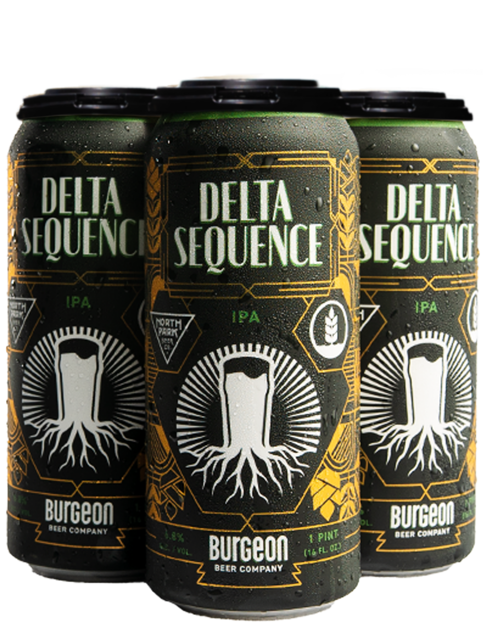 Delta Sequence IPA collab w/ North Park & Pure Project - 4 Pack