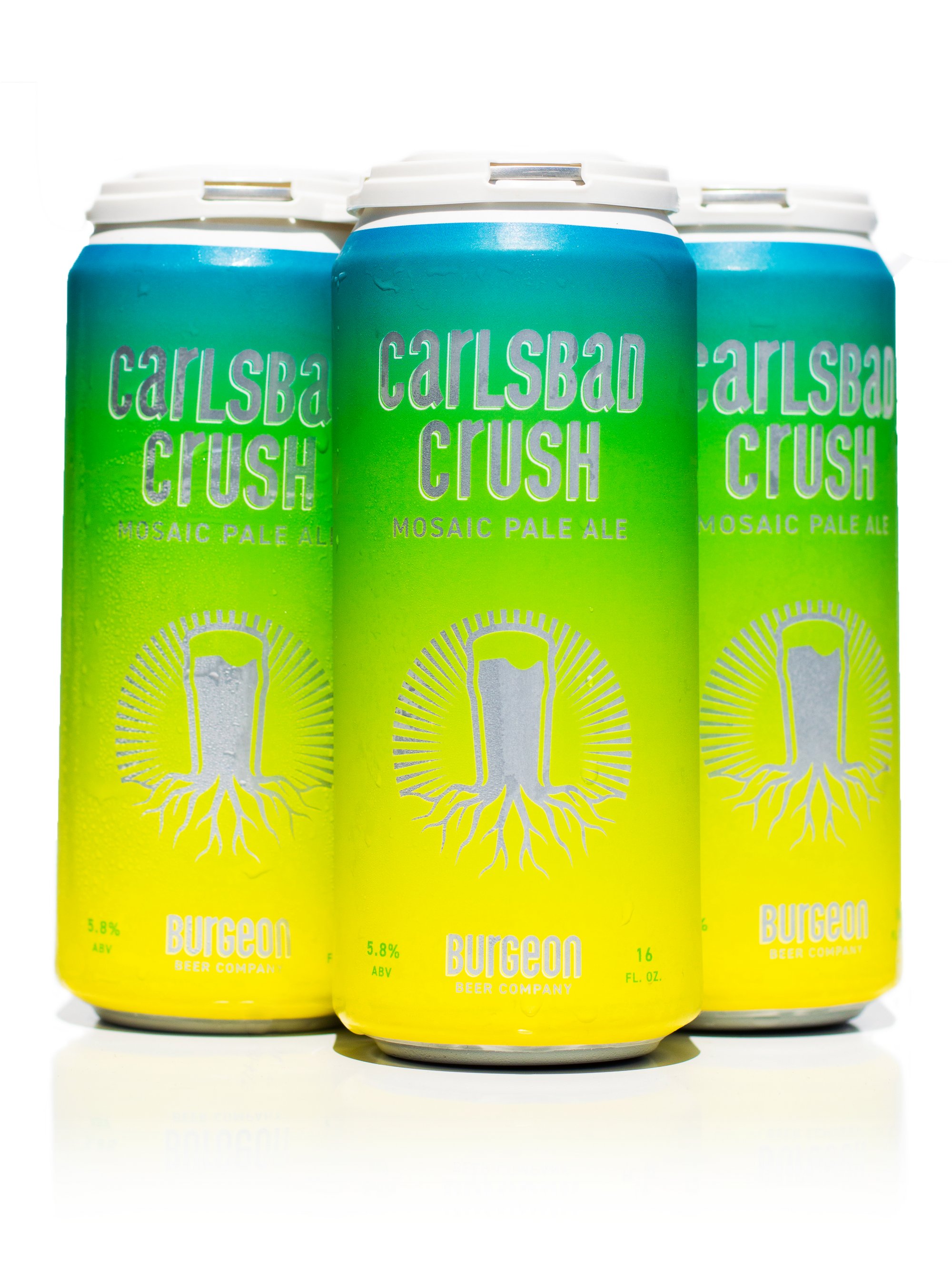 Carlsbad Crush Mosaic Pale Ale - 4 Pack