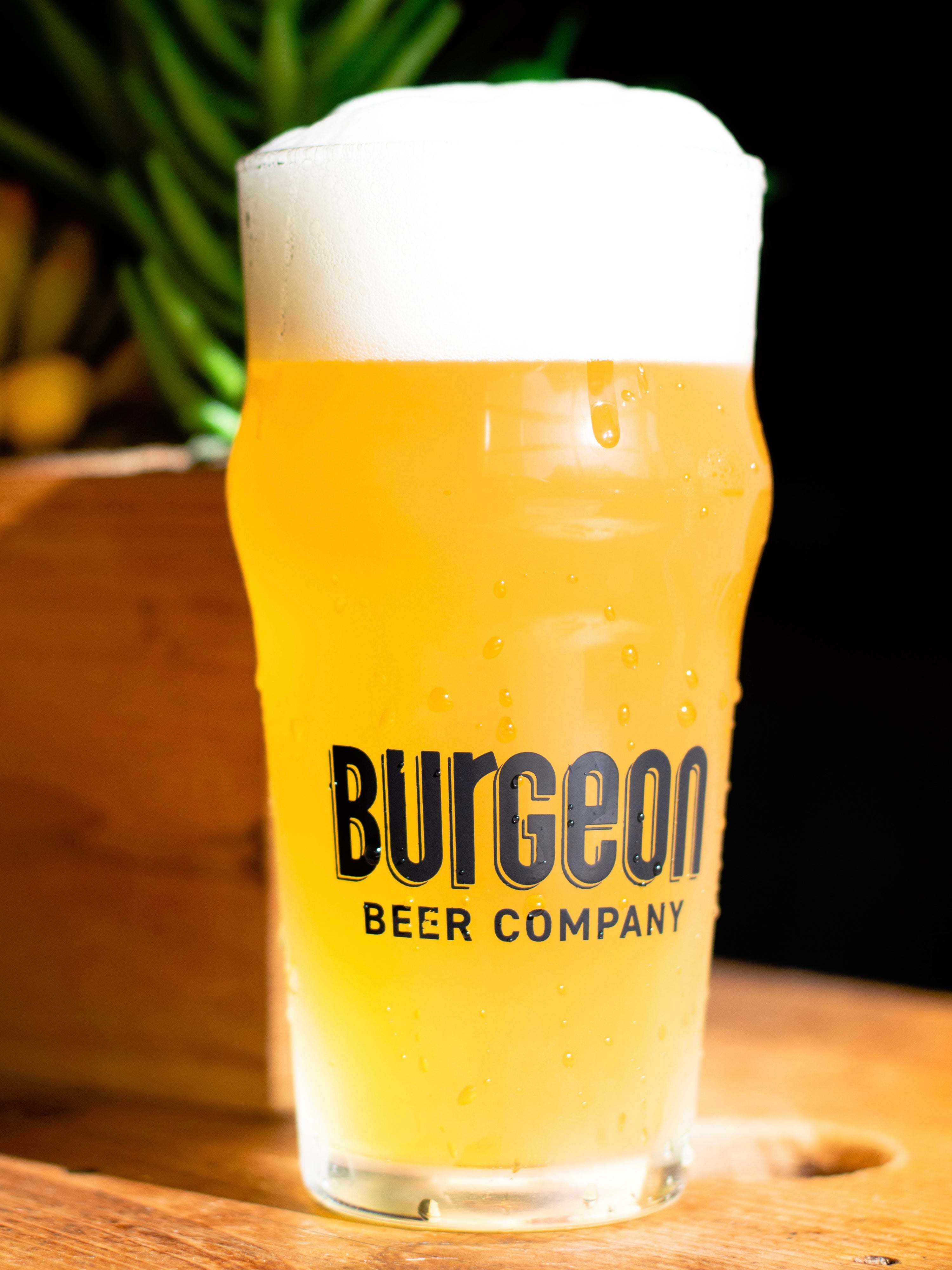 Burgeon Logo Pint