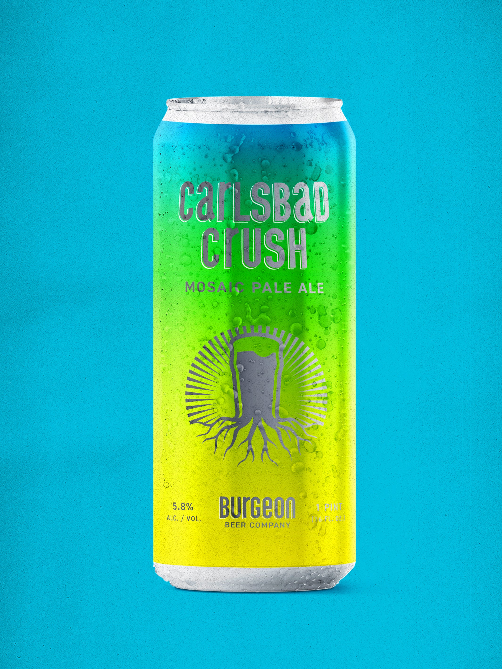 Carlsbad Crush Mosaic Pale Ale - 4 Pack